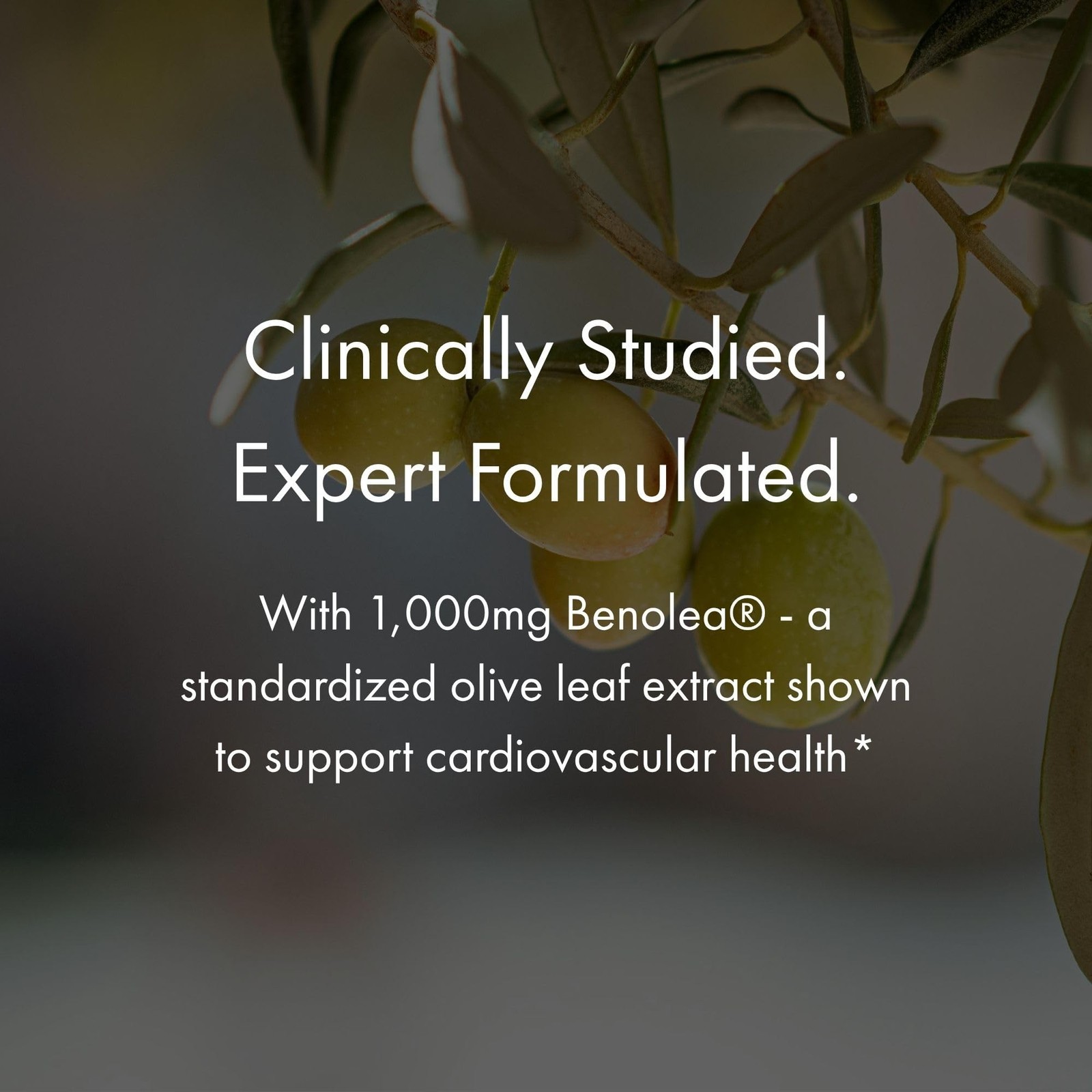 NAOMI BP Advanced, Supports Cardiovascular Health, Circulatory Health, Olive …