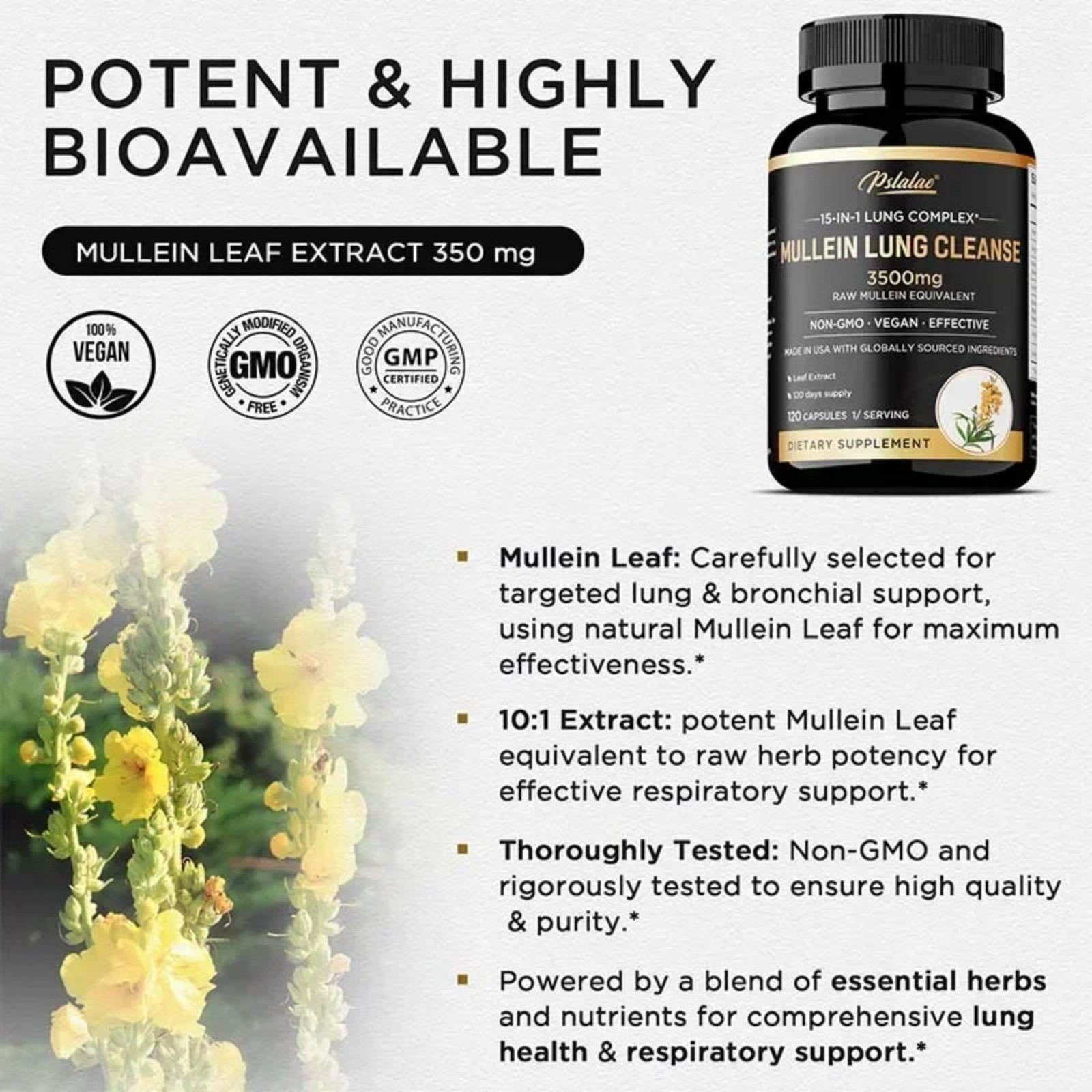 Mullein Lung Cleanse 120pcs – Support Respiratory Health,Improves Airway Clarity