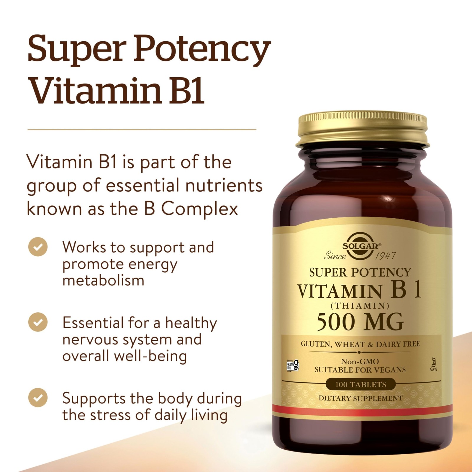 Solgar Vitamin B1 (Thiamin) 500 mg, 100 100 Count (Pack of 1), No Color