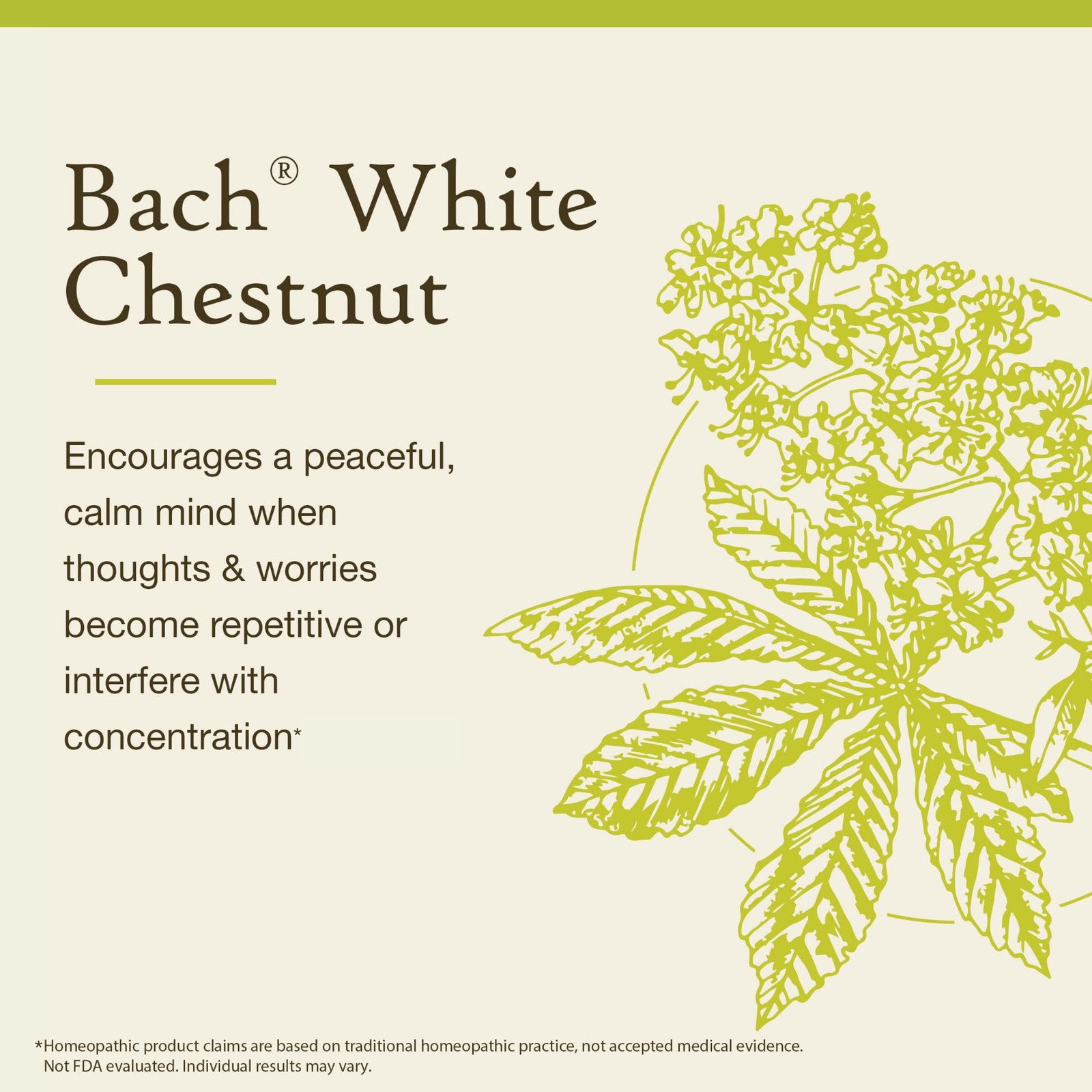 Bach Flower Remedy White Chestnut Calm Mind Natural Emotional Wellness 0.7 Fl Oz