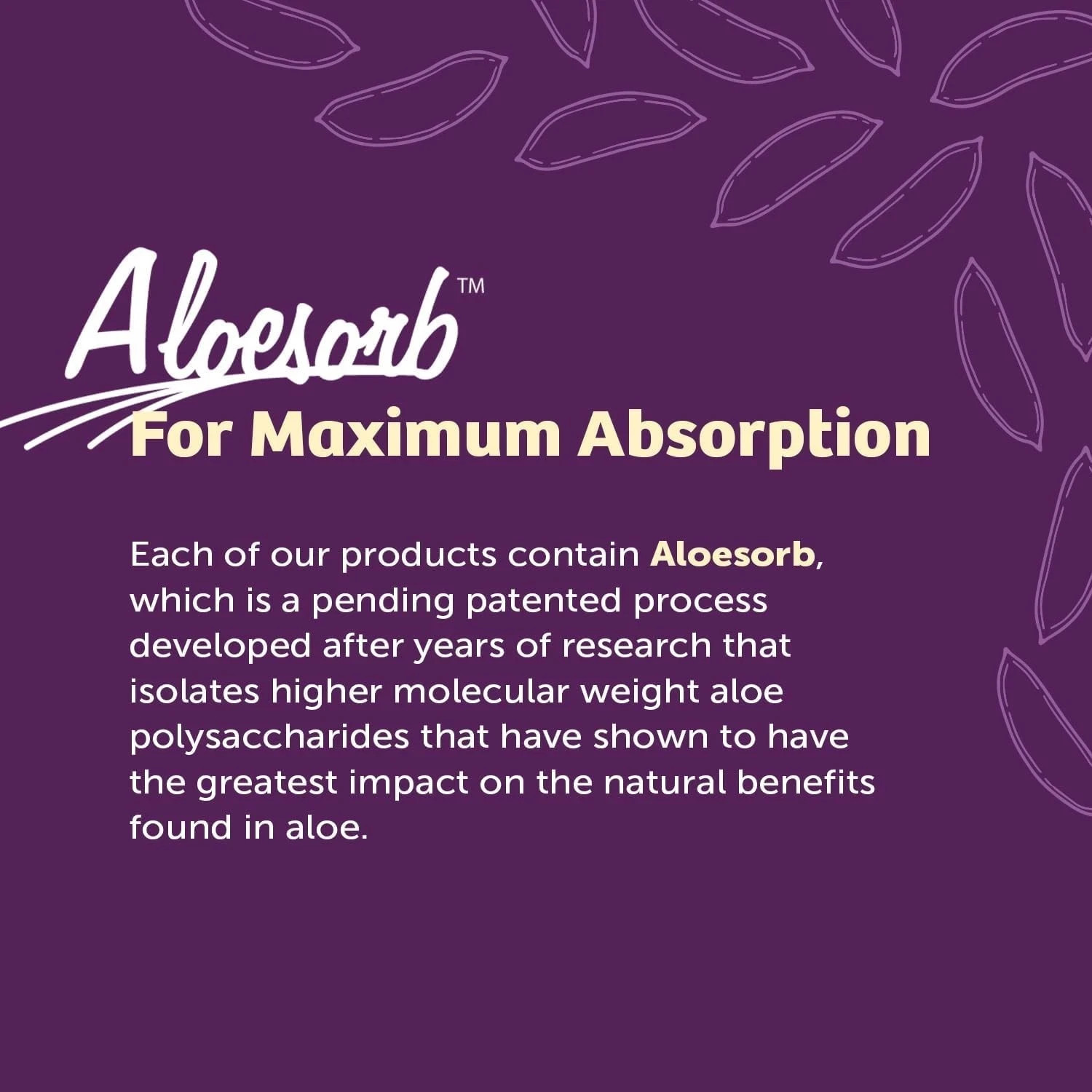 Lily of the Desert Aloe Vera 80 Stomach Formula 32 fl.oz (Pack of 2)