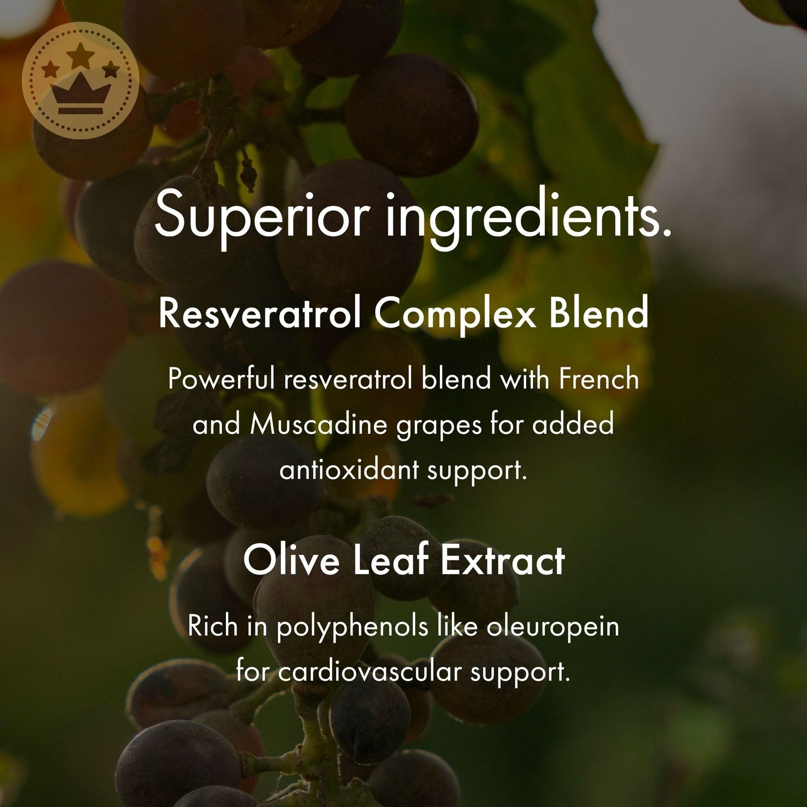 NAOMI Italian Citrus Bergamot 500mg with Resveratrol – Supports Healthy Chole…