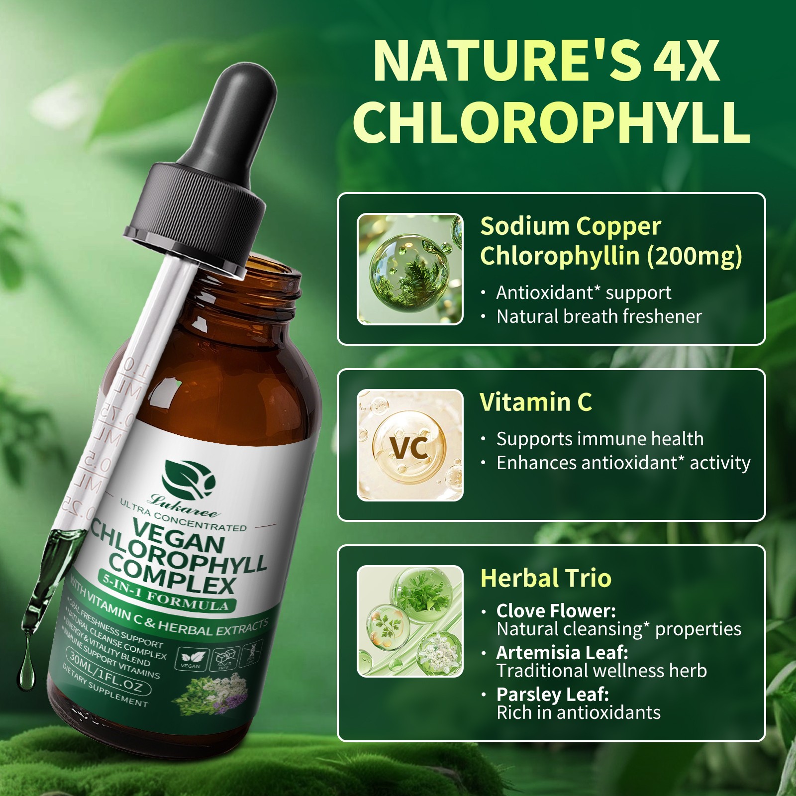 200mg Chlorophyll Liquid Drops Supply Liquid Chlorophyll Immune Support