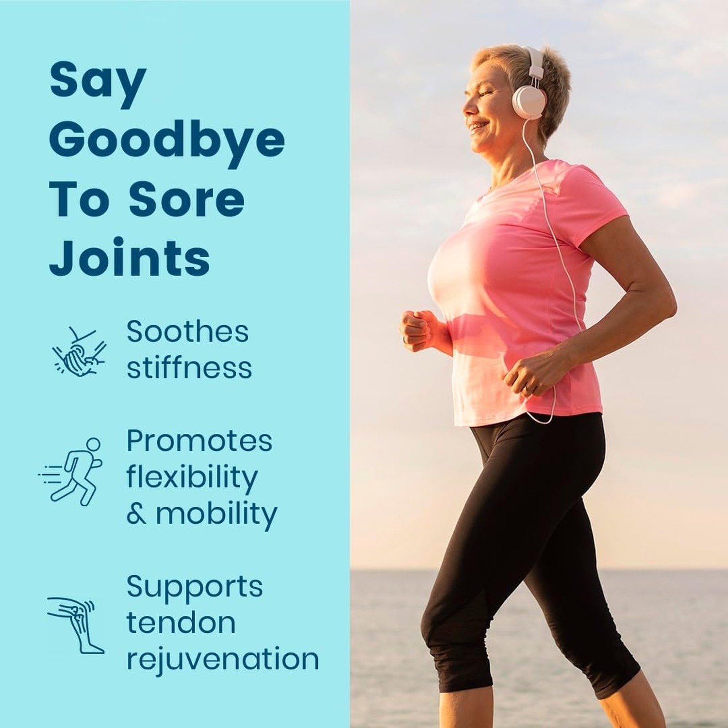 BB Company Provitalize | Probiotics for Women Digestive Health, Menopause, Jo…