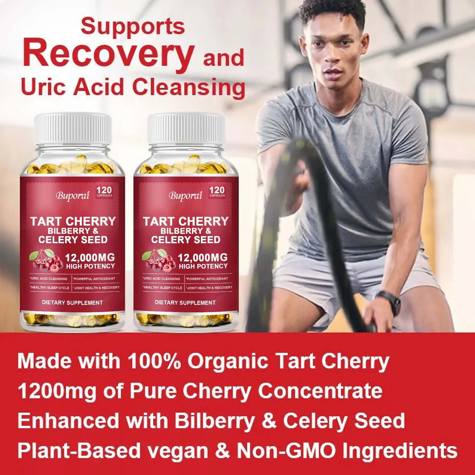 Tart Cherry Bilberry 240pcs, Uric Acid Cleansing, Joint Health, Muscle Recovery