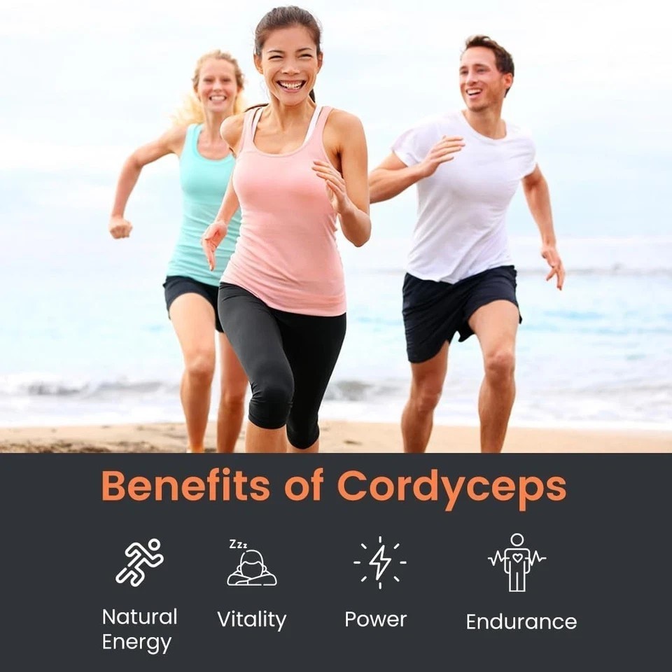 Cordyceps Mushroom – Performance Mushroom Supplement for Testosterone booster A2
