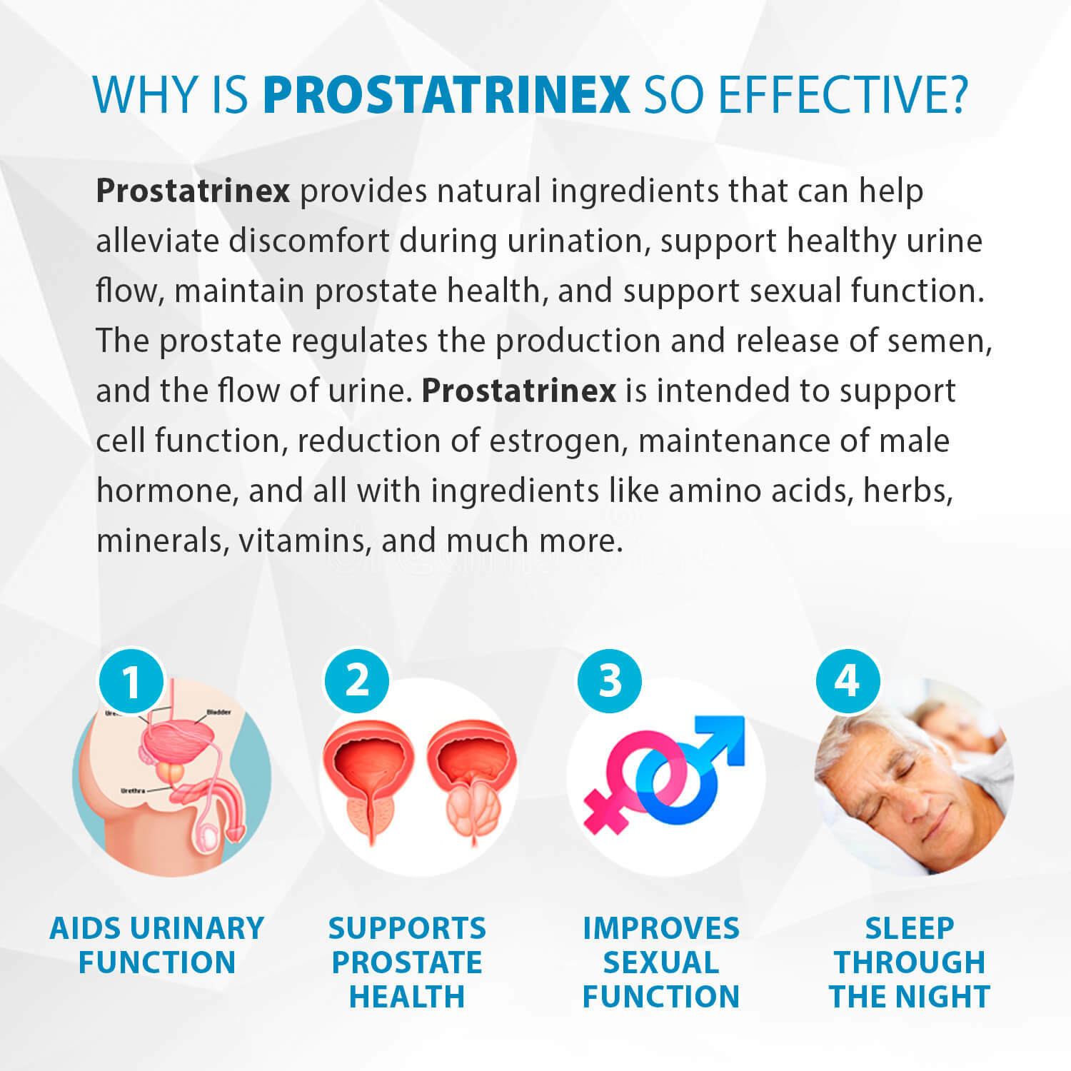 Prostatrinex Prostate Support – 12 Bottles – Official Seller – 100% Natural