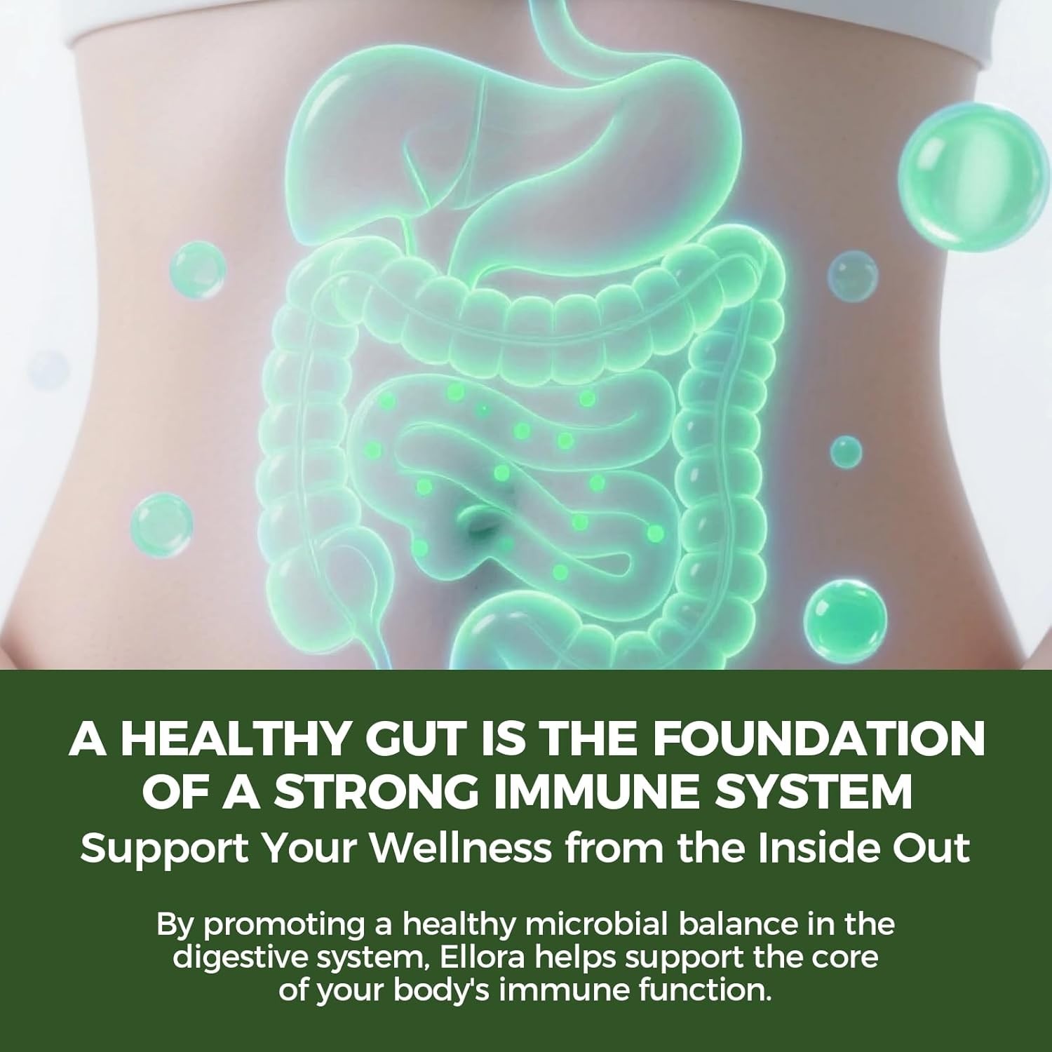 Gut Cleanse Drops with Black Walnut Hull, Wormwood, Clove, Oregano & Licorice…