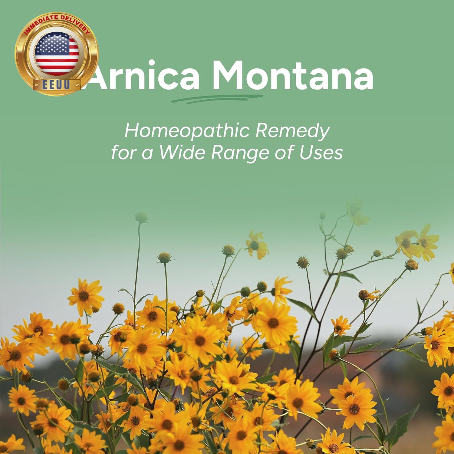 OLLOIS Arnica Montana 6C, Organic, Lactose-Free Homeopathic Medicine, 80 Pellets