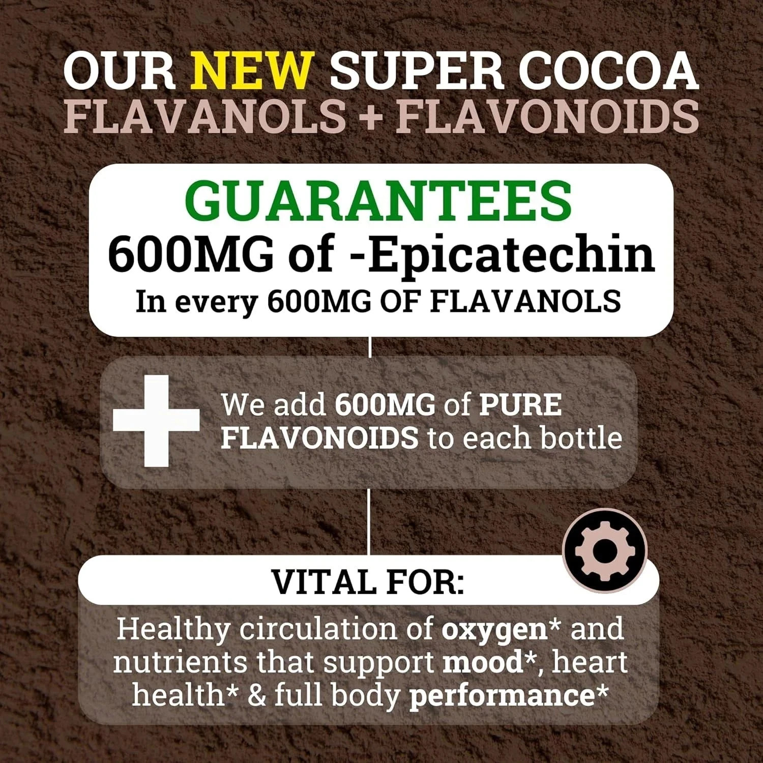 Black Forest High Flavanol Cocoa Powder Flavonoids Supplement 1200 mg