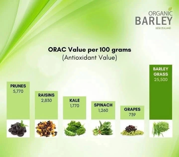 JC Organic Barley Juice with Stevia – 10 sachets x 3.2grams – Buy 5 get 1 Free