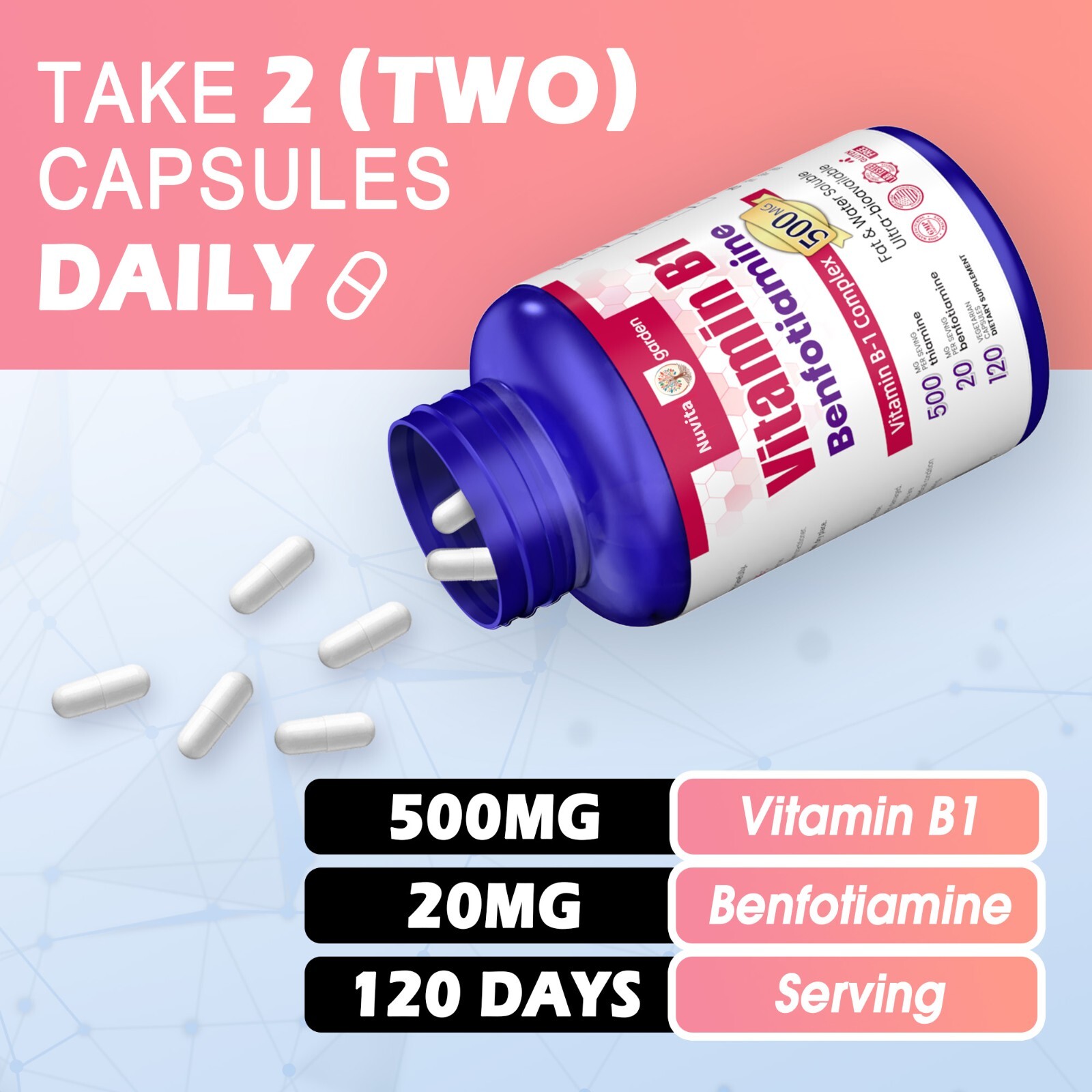 Vitamin B1 (Thiamin) 500 mg, 240 Caps – Energy Metabolism, Healthy Nervous