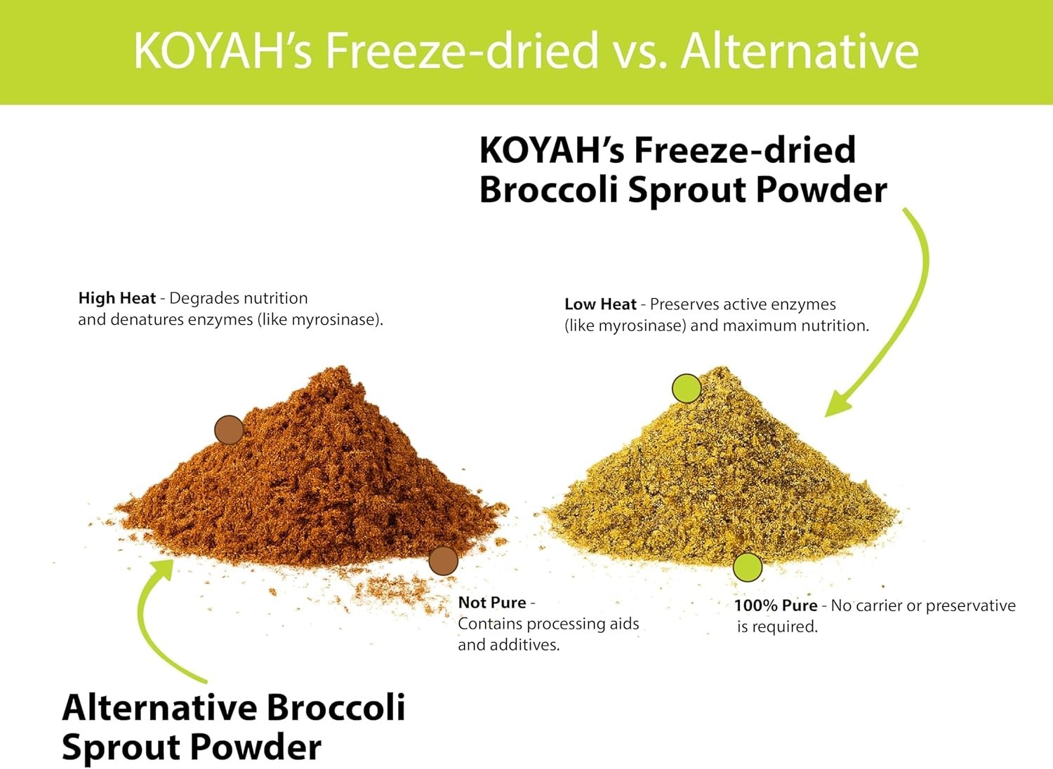 Organic Broccoli Sprout Powder 1 Scoop = 1/4 Cup Sprouts: 36 Servings, Freez…