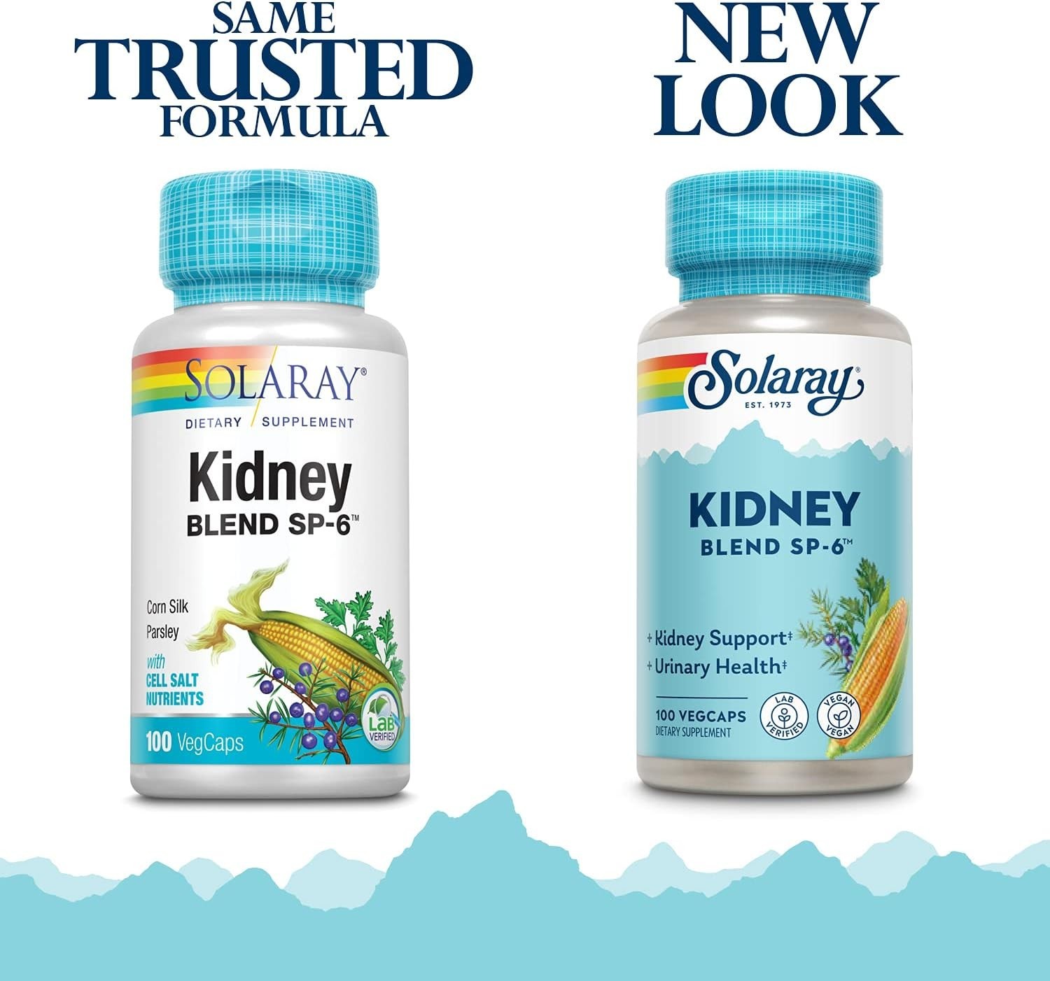 Solaray Kidney Blend SP-6 100 Vegetarian Capsules Each (Pack of 4)