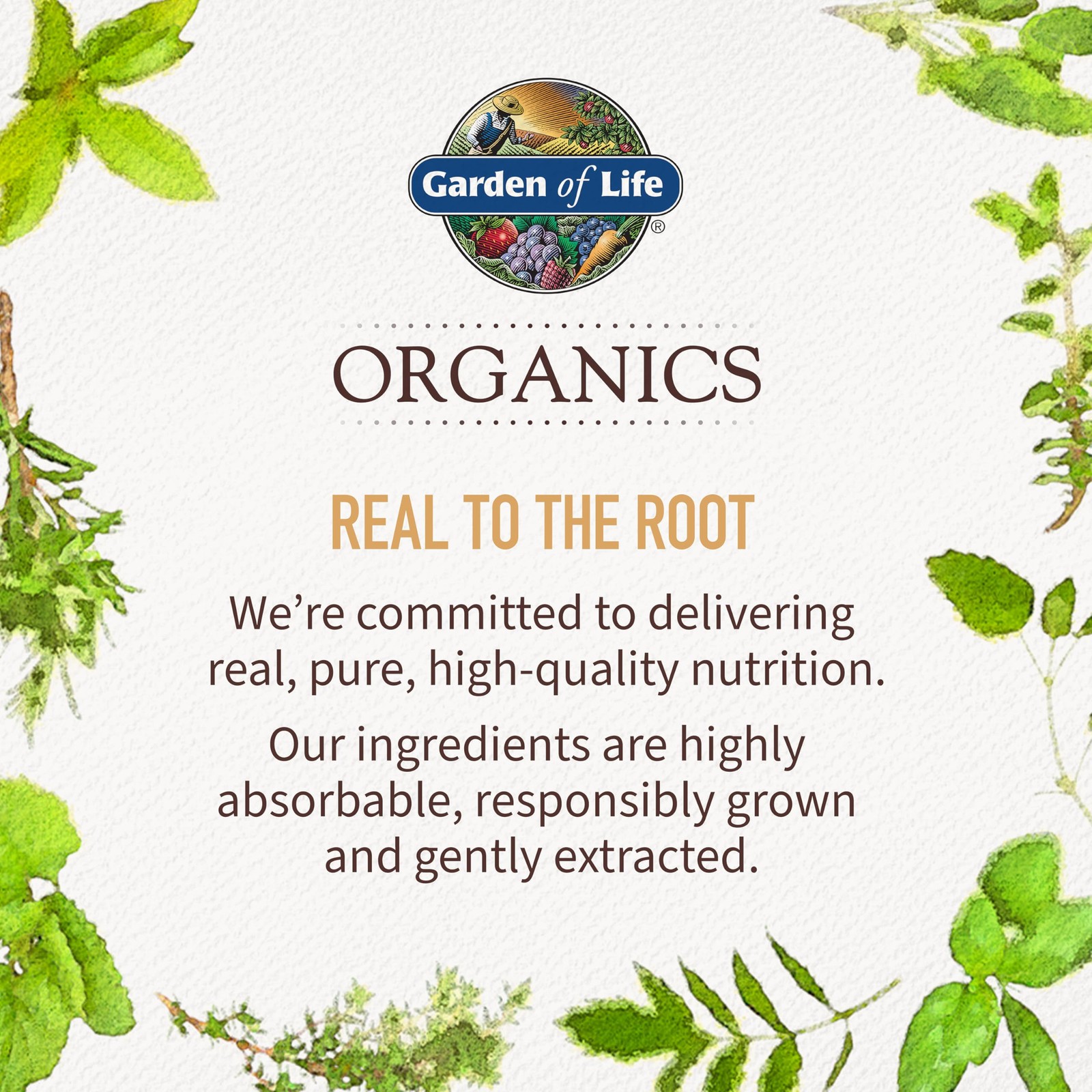 Garden of Life Organics Maximum Strength Turmeric Joints & Mobility Support 3…