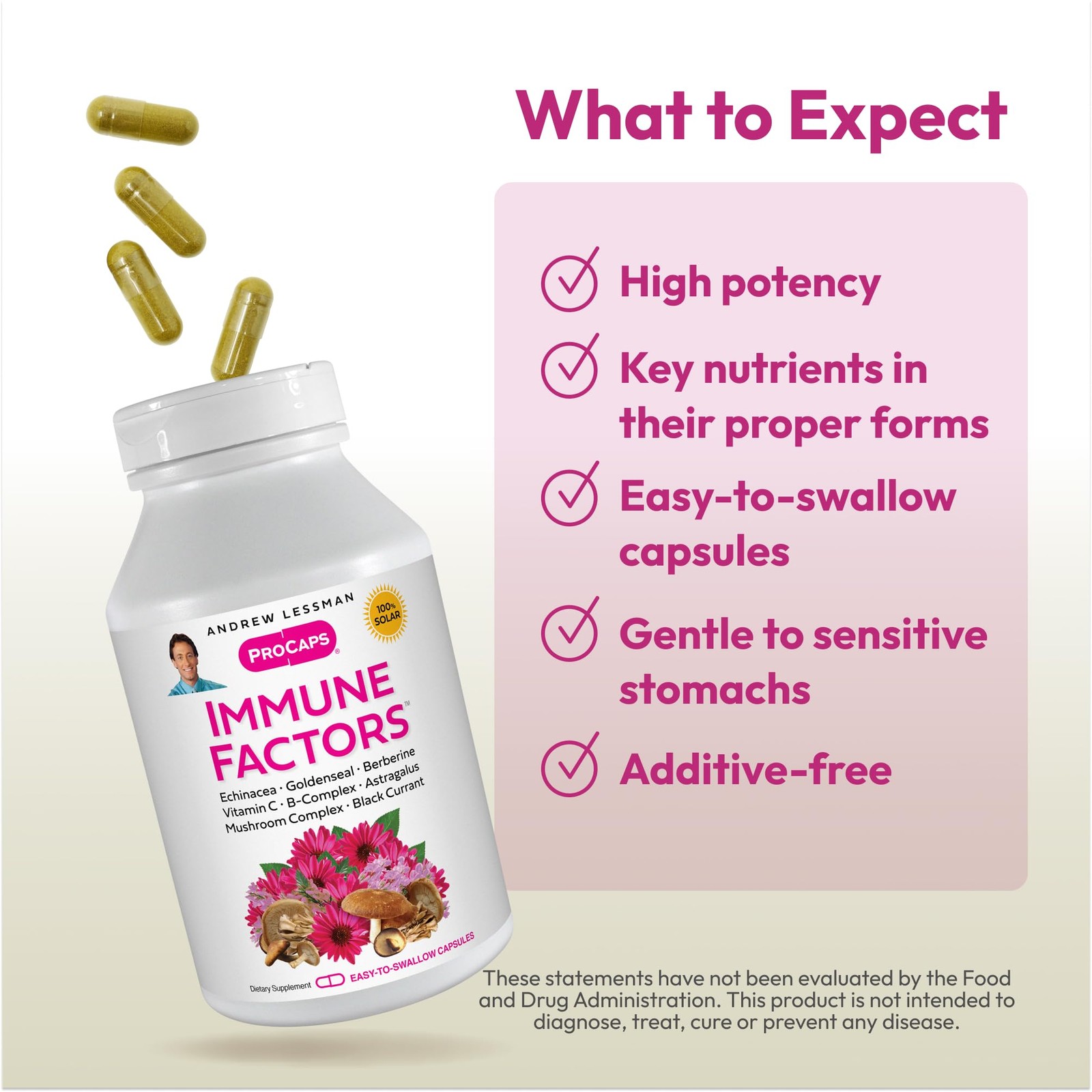 ANDREW LESSMAN Immune Factors 180 Capsules – Echinacea, 180 Count (Pack of 1)