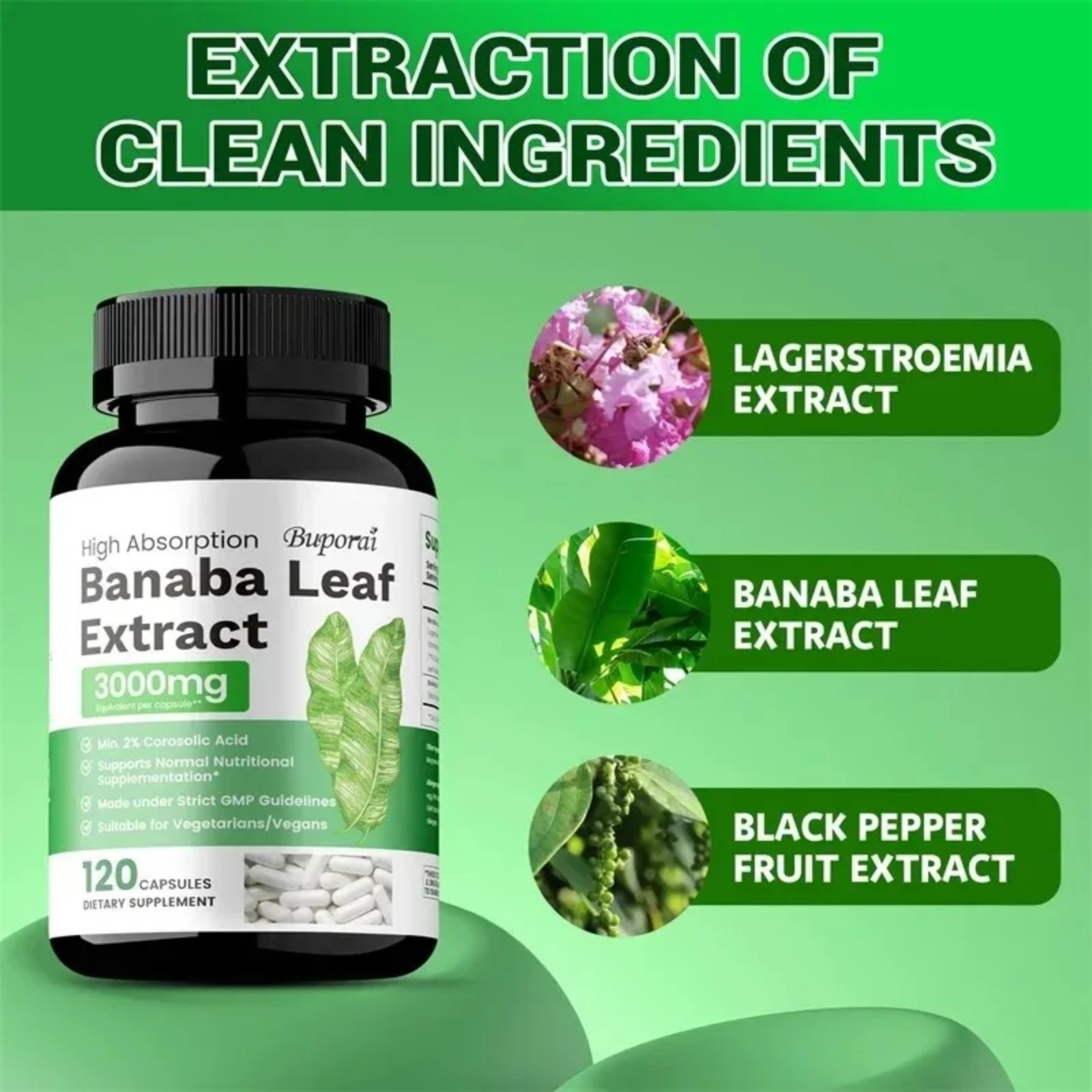 Banaba Leaf Extract 120pcs – Healthy Blood Levels and Daily Health Maintenance