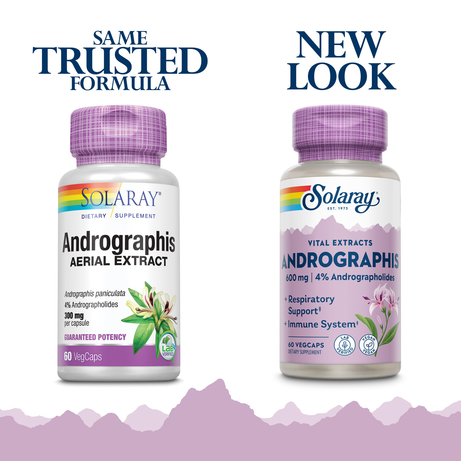 Solaray Andrographis Aerial Extract 300 mg | 30 Serv | 60 VegCaps