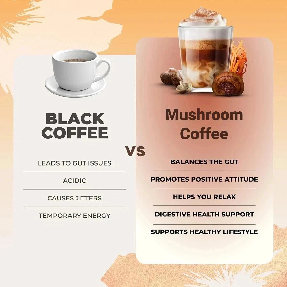 3PACK Mushroom Coffee USDA Organic with 6 Adaptogenic Mushrooms 30 servings New