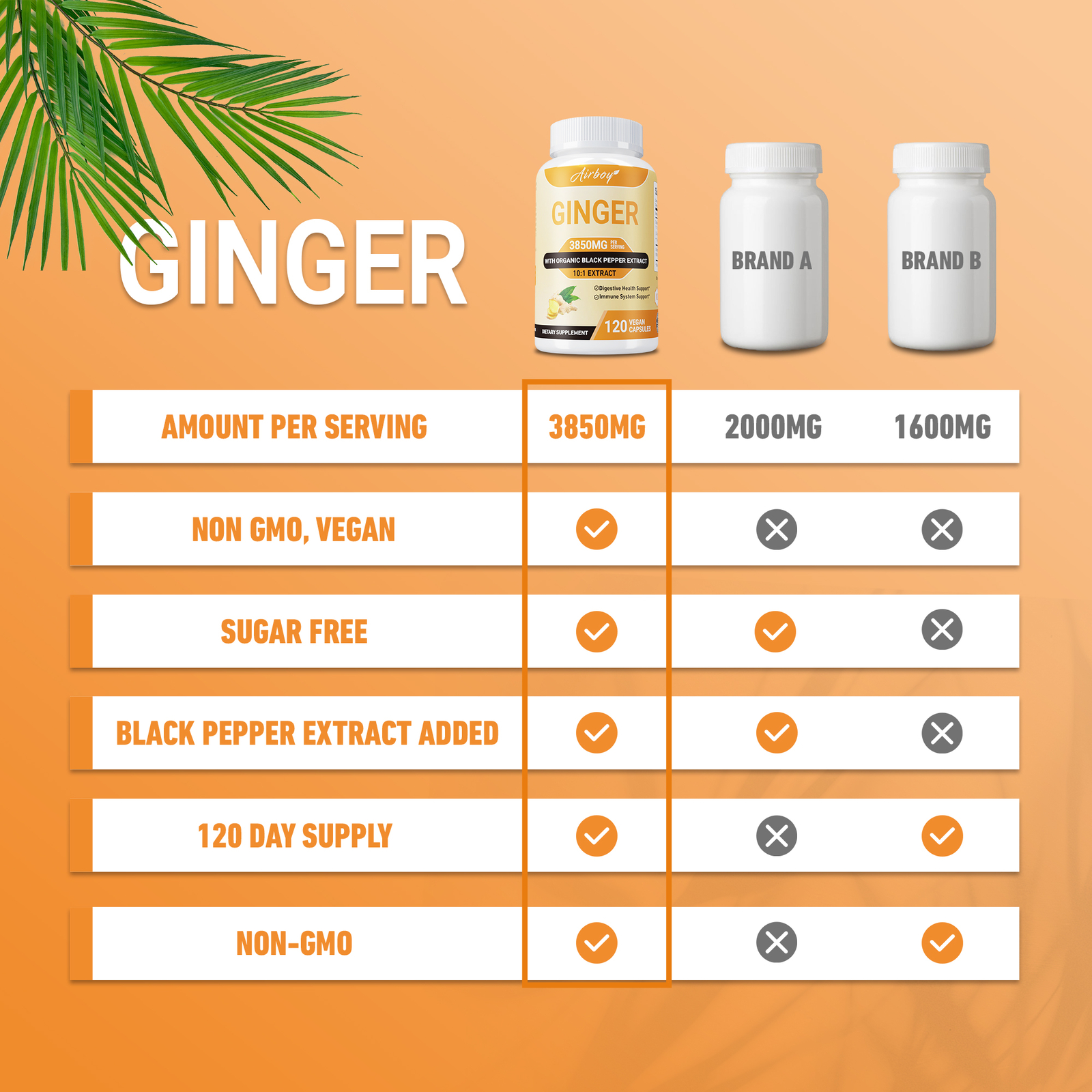 Organic Ginger 3850mg – Nausea Relief,Digestive Health,Health Dietary Supplement