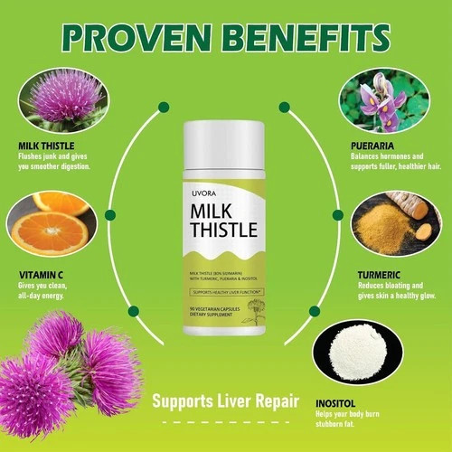 gmpdose Uvora – Milk Thistle Detox.UVORA Extract 300 mg, 1pcs