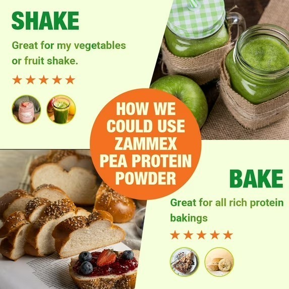 Zammex Organic Pea Protein Powder Protein from Plants, natural (2.62LBS) – NEW!!
