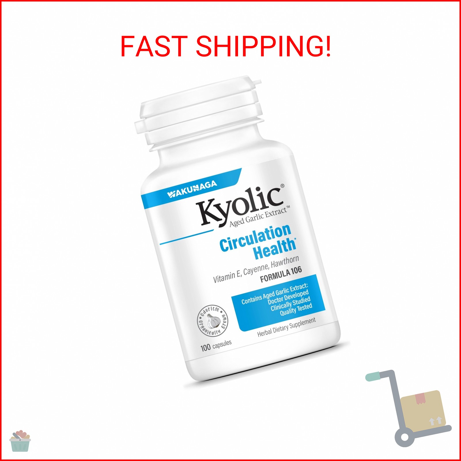 Kyolic Aged Garlic Extract Formula 106 – Circulation Health Support – Cardiovasc