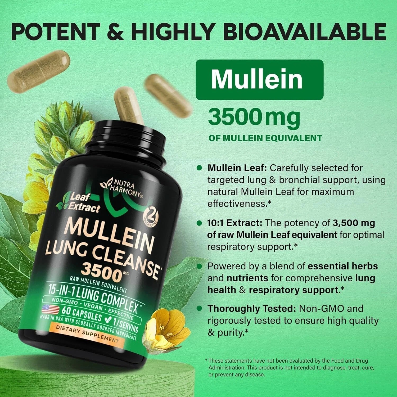 Mullein Leaf Extract for Lung Detox 3500 Mg – Echinacea | Oregano | Quercetin |
