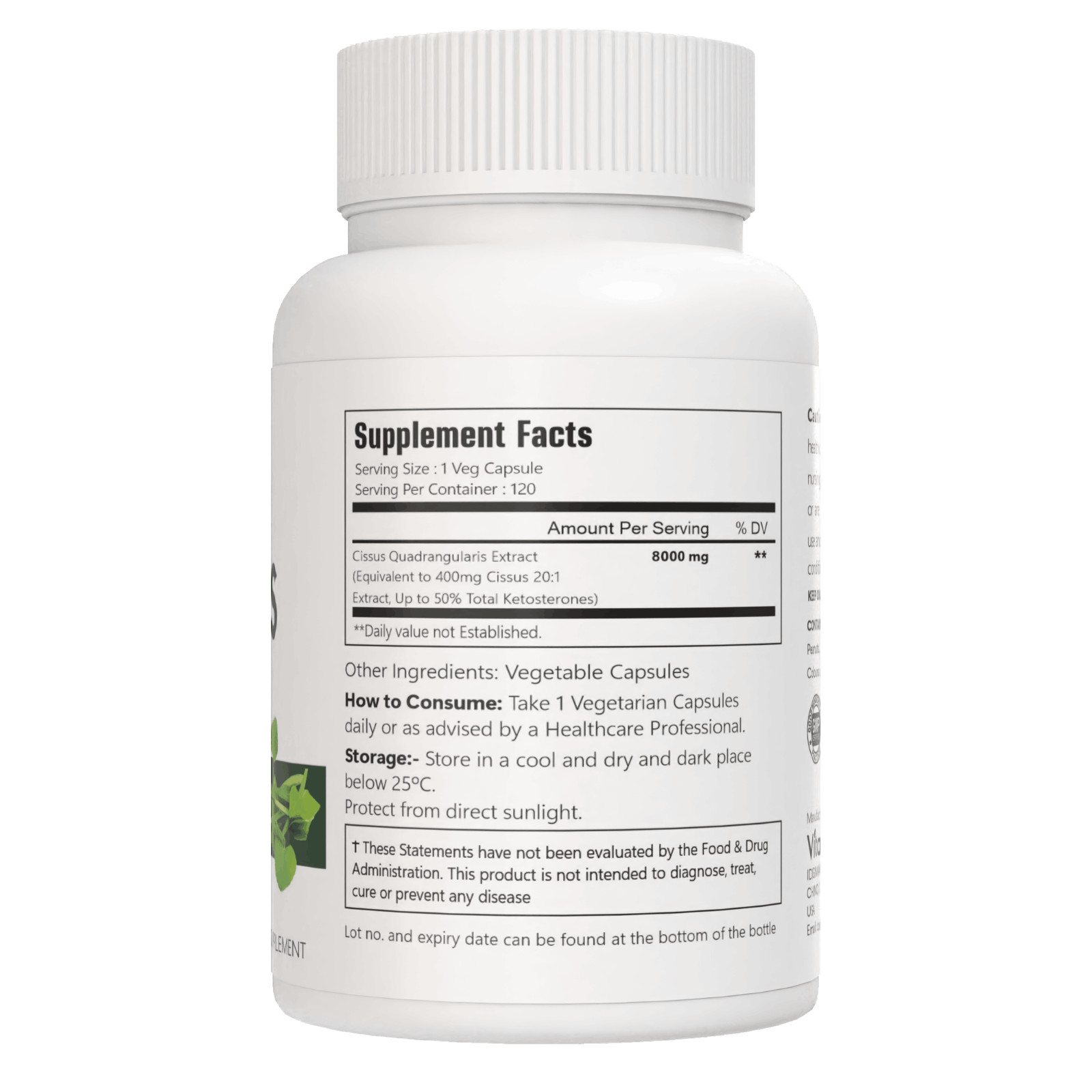 ULTRA CISSUS QUADRANGULARIS 8000 MG POST-WORKOUT WEIGHT LOSS SUPPLEMENT 120 CAPS