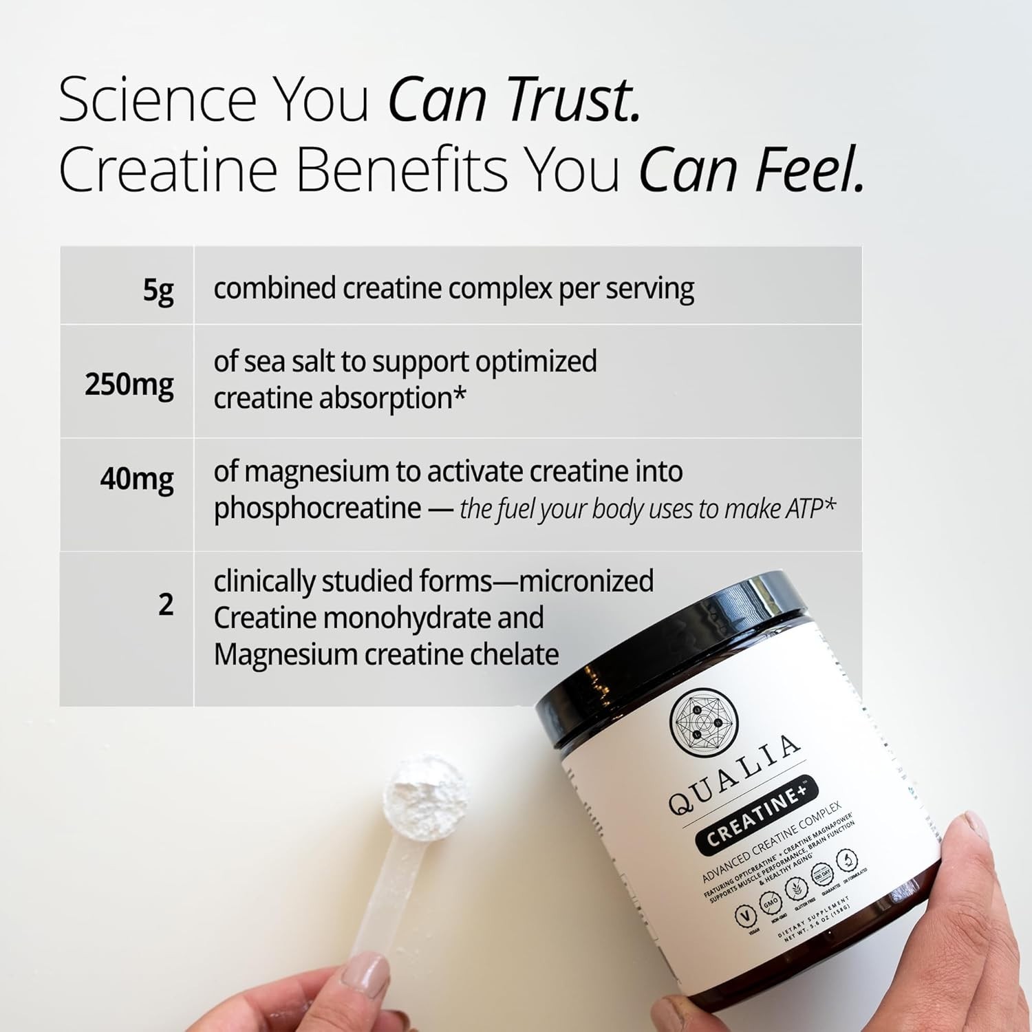 Qualia Creatine | Advanced Creatine Complex | 2 Sources + Magnesium | Optimiz…
