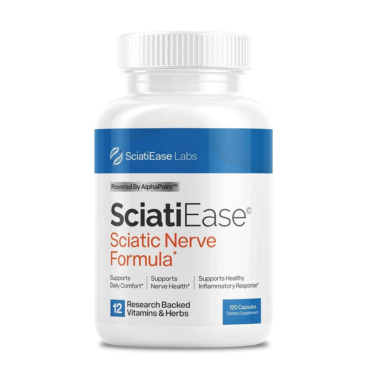 Antioxidant, SciatiEase Labs Sciatic Ease Nerve Formula – Nervous System Health
