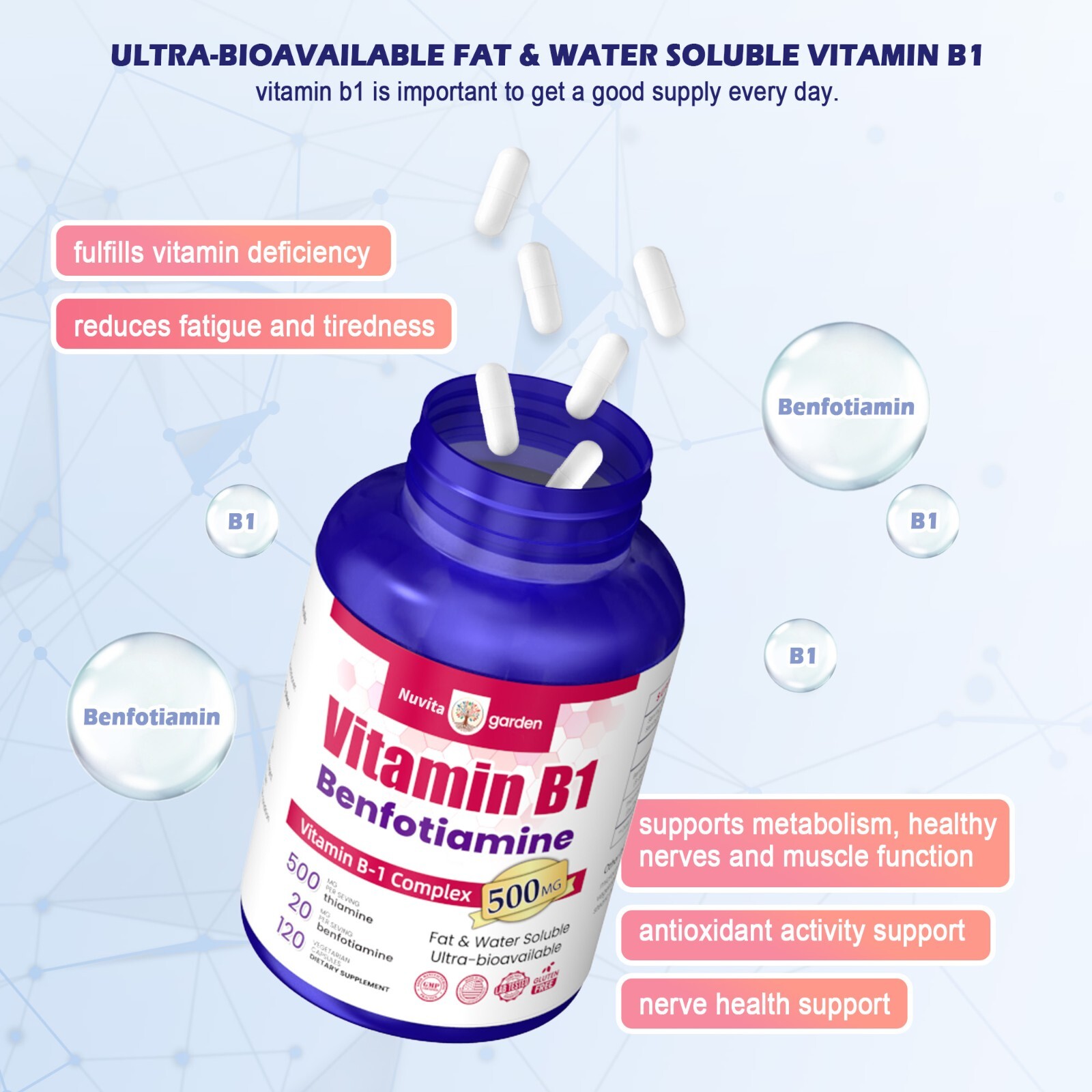 Vitamin B1 (Thiamin) 500 mg, 240 Caps – Energy Metabolism, Healthy Nervous
