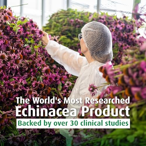 A Vogel Echinacea Immunity Support Tablets Organic 120 Count Easy To Swallow