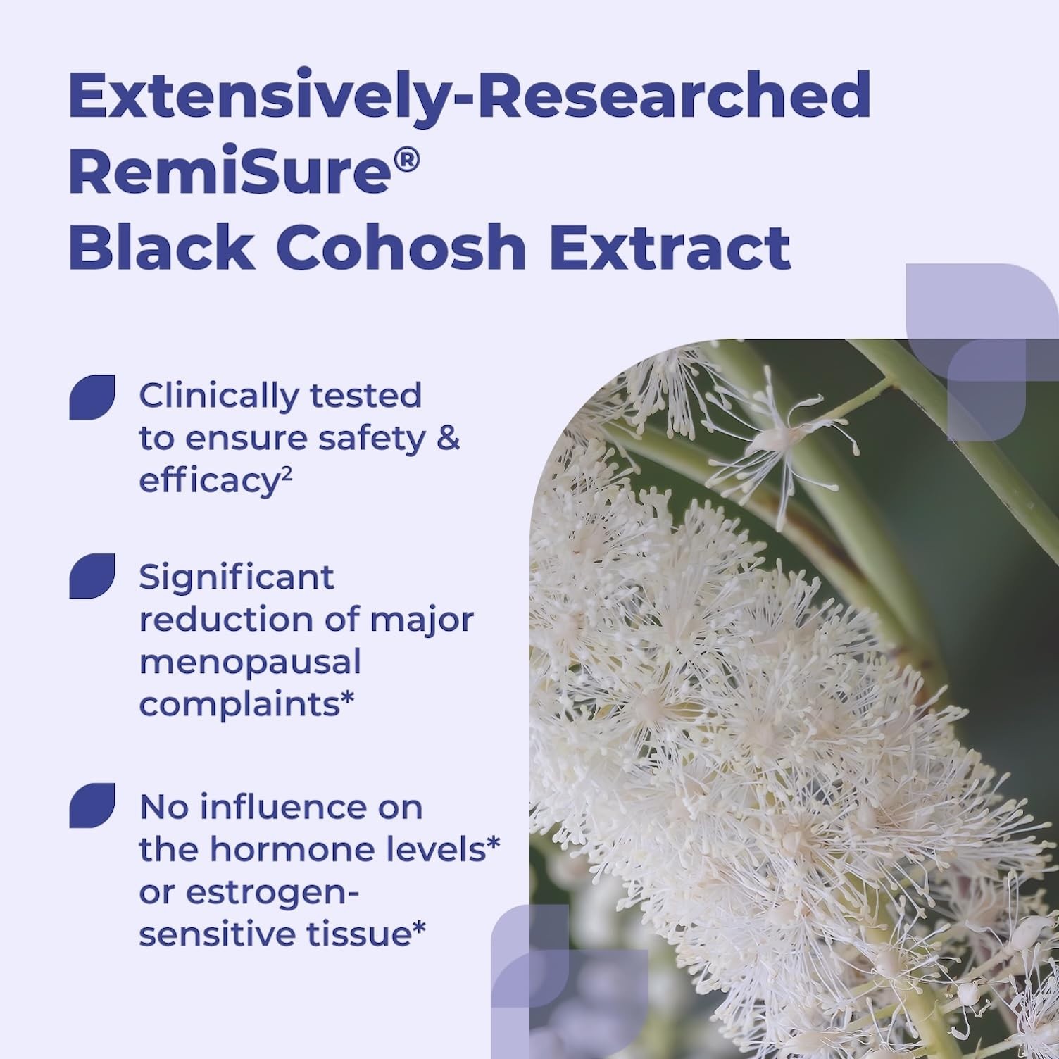 Menopause Relief Supplements – Black Cohosh for Restful Sleep & Symptoms Support