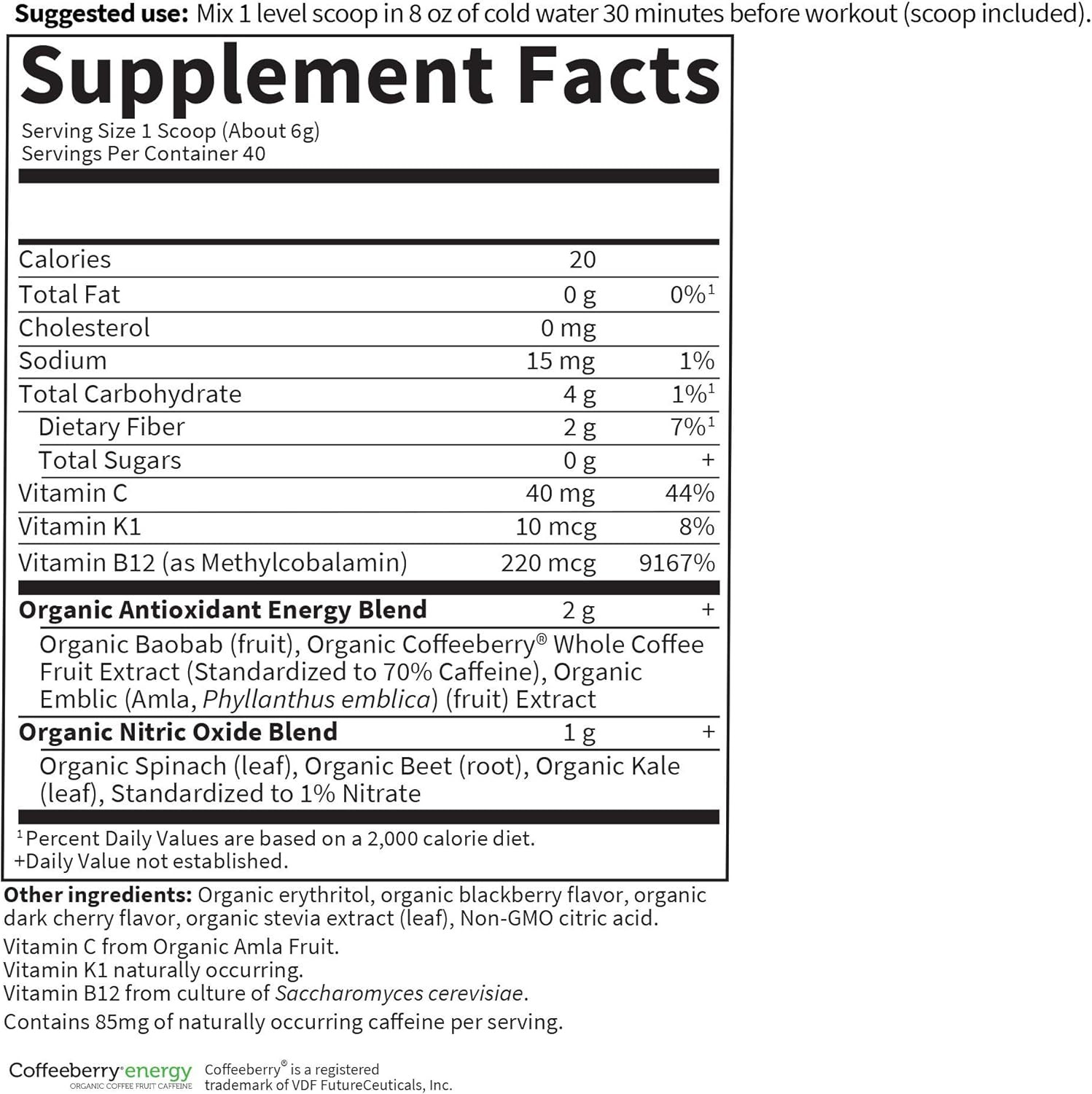 Garden of Life Sport Organic Plant-Based Energy + Focus Vegan Clean Pre Workout