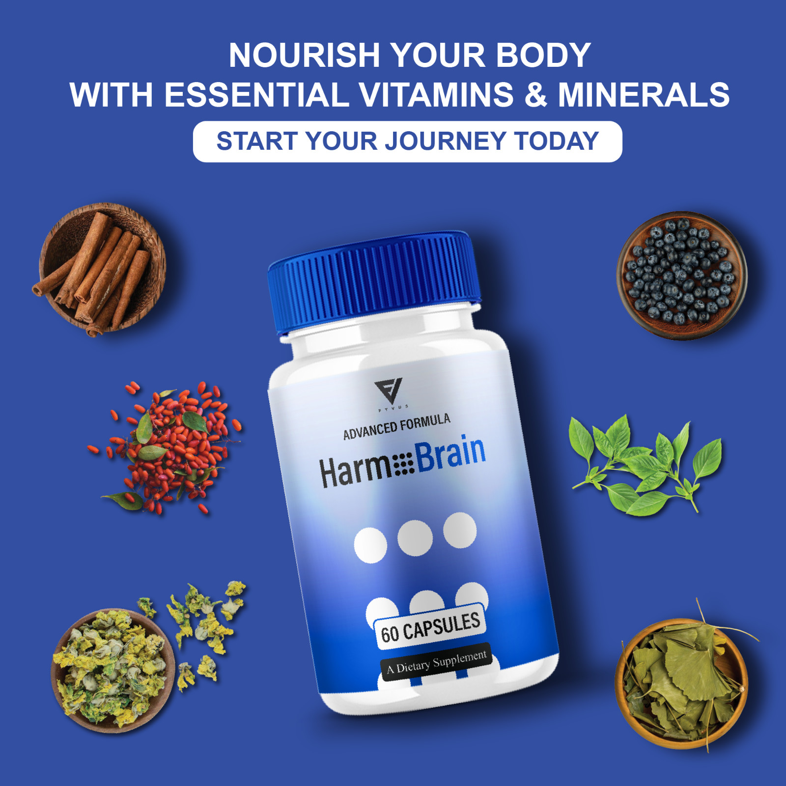 (5 Pack) Harmo Brain Focus Supplement, HarmoBrain Support (300 Capsules)