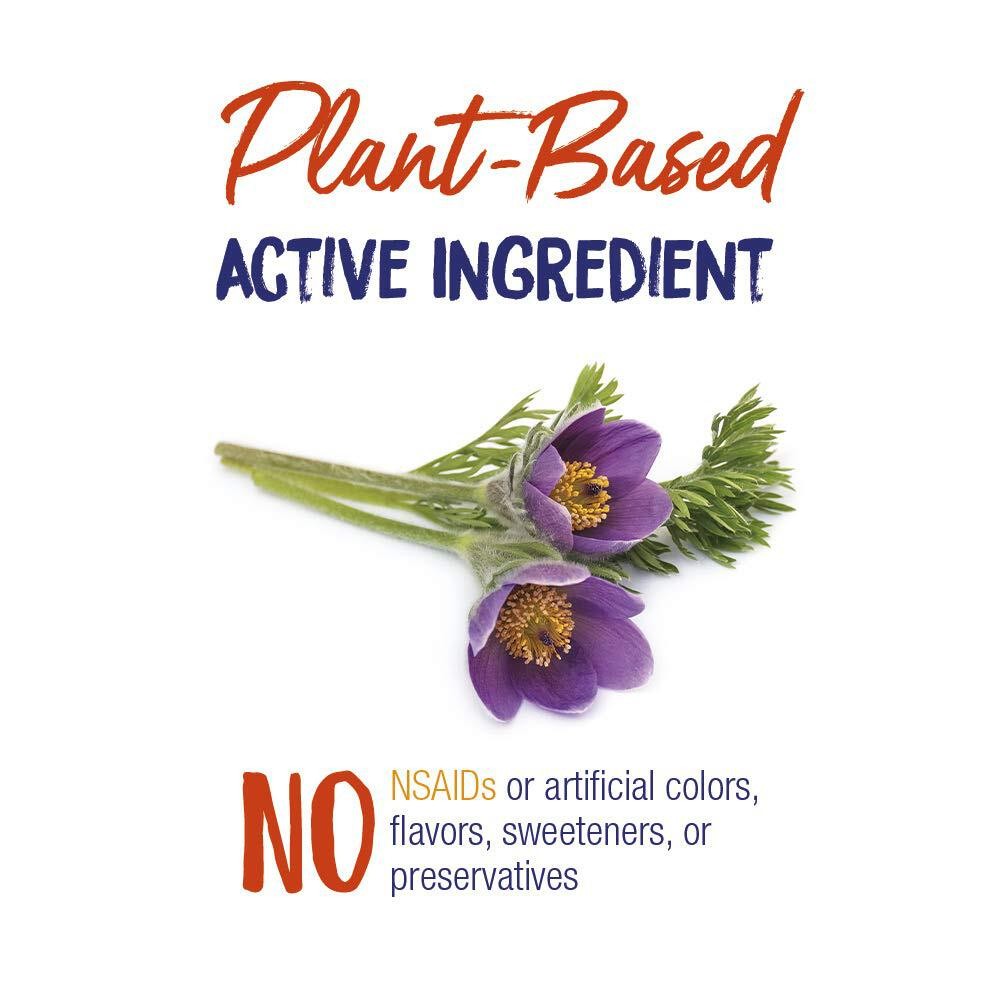 1/28 Boiron Pulsatilla 30C Homeopathic Medicine for Relief from Cold, Nasal Cong