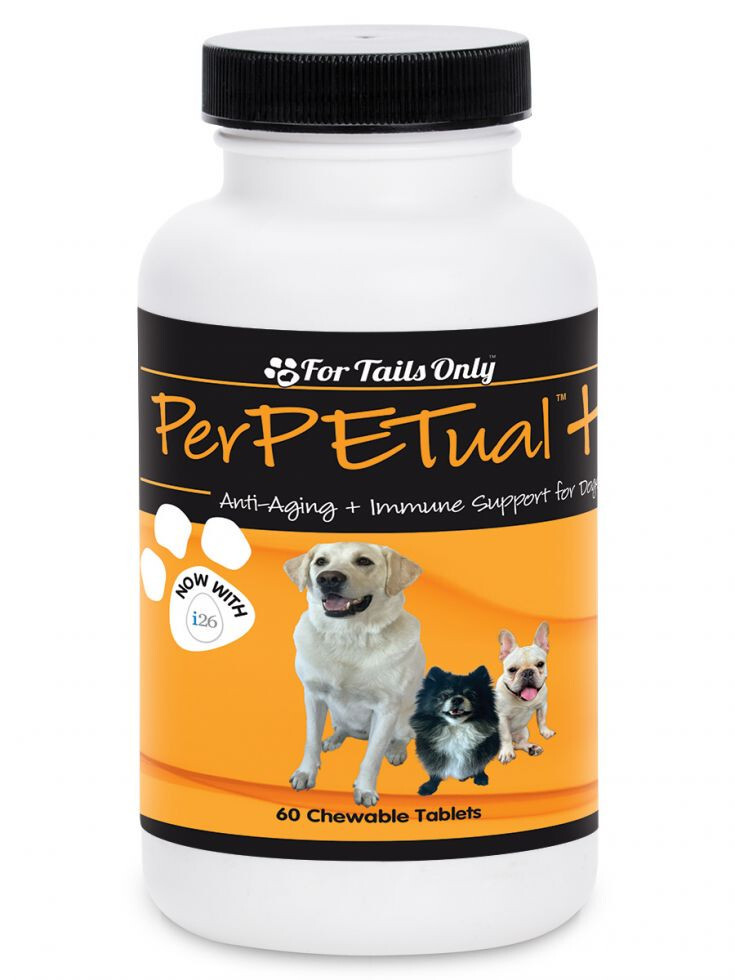 Youngevity Mitchell PerPETual Plus