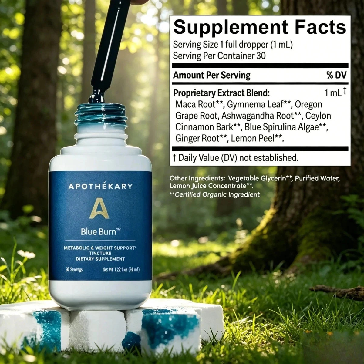 Apothékary Blue Burn Tincture 1 oz –Metabolic & Weight Support, Herbal Extract