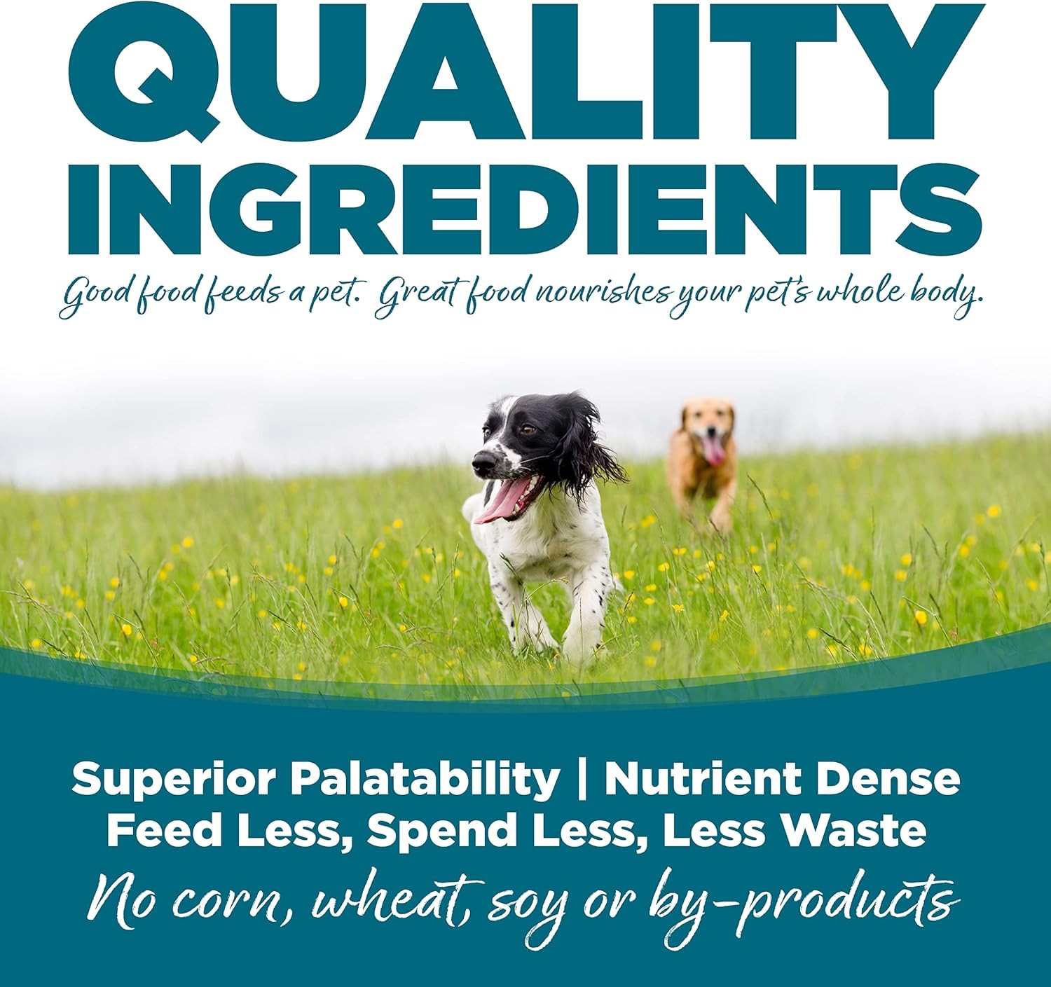Tuffy’s Nutrisource Chicken and Rice Formula Breed Dry Adult Food 30 lb Bag-Sing