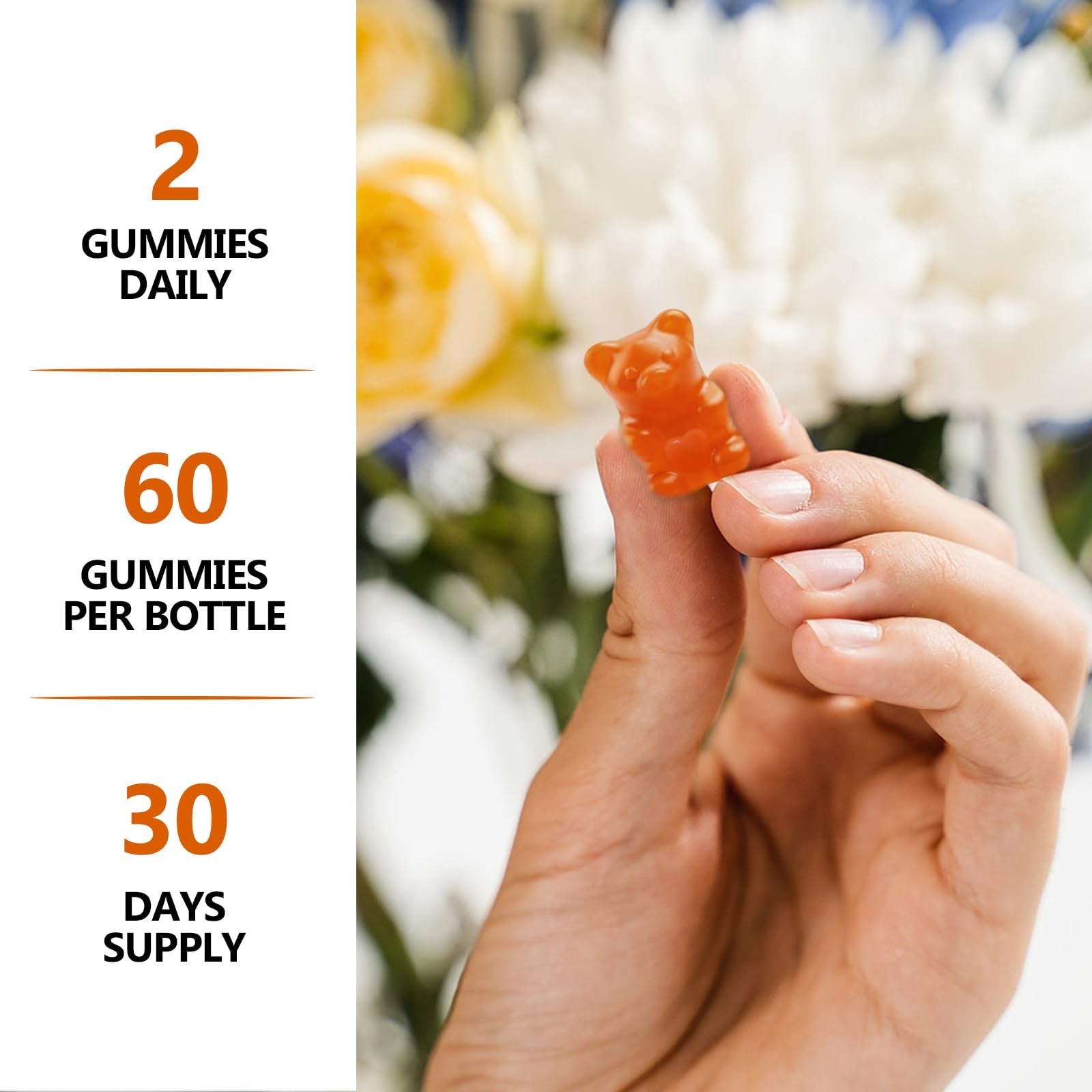 HFELIZ Choline Supplement Gummies Sugar Free, 500mg 60 Count (Pack of 1)