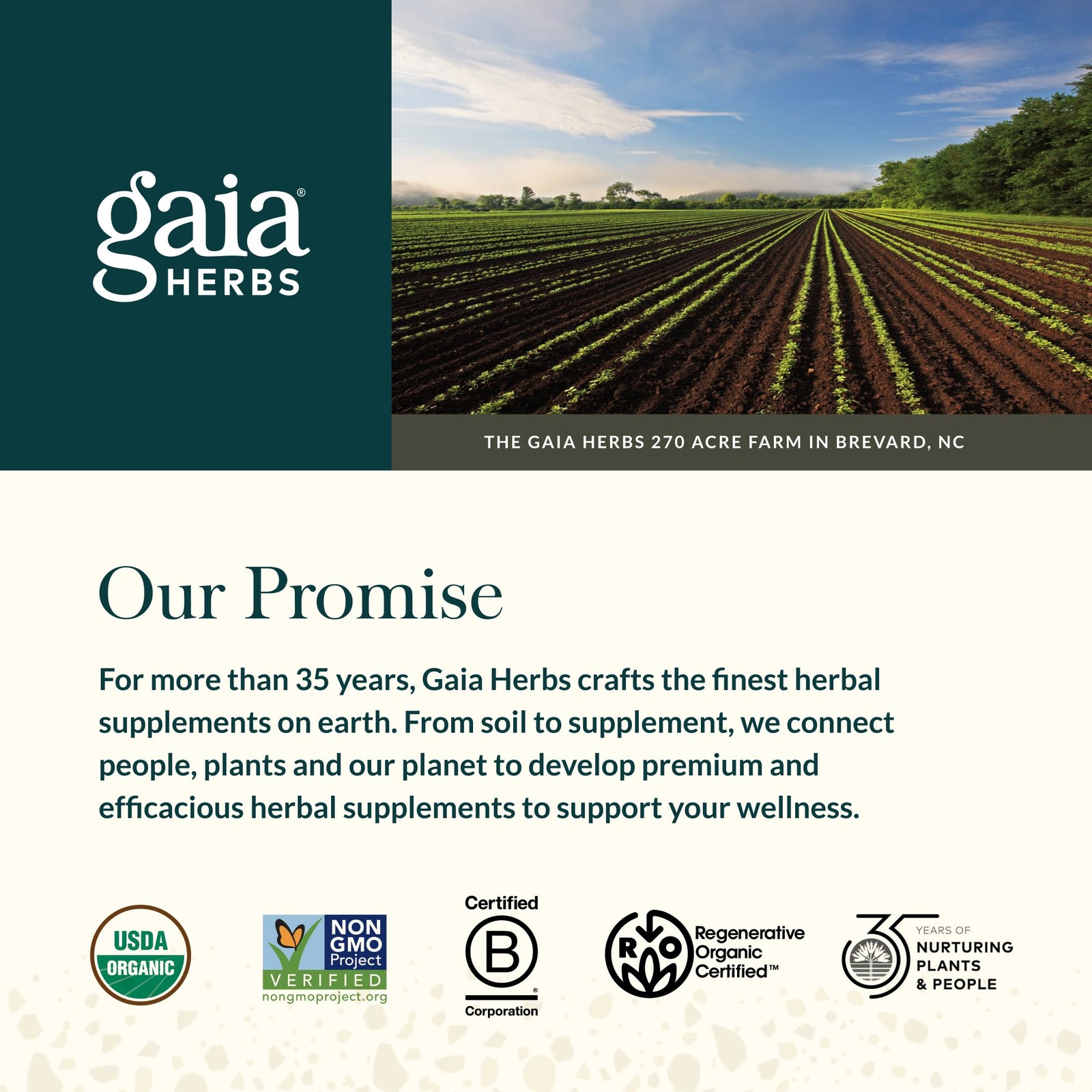 Gaia Herbs Steady Mind Stress Relief Supplement St. John’s Wort Passionflower