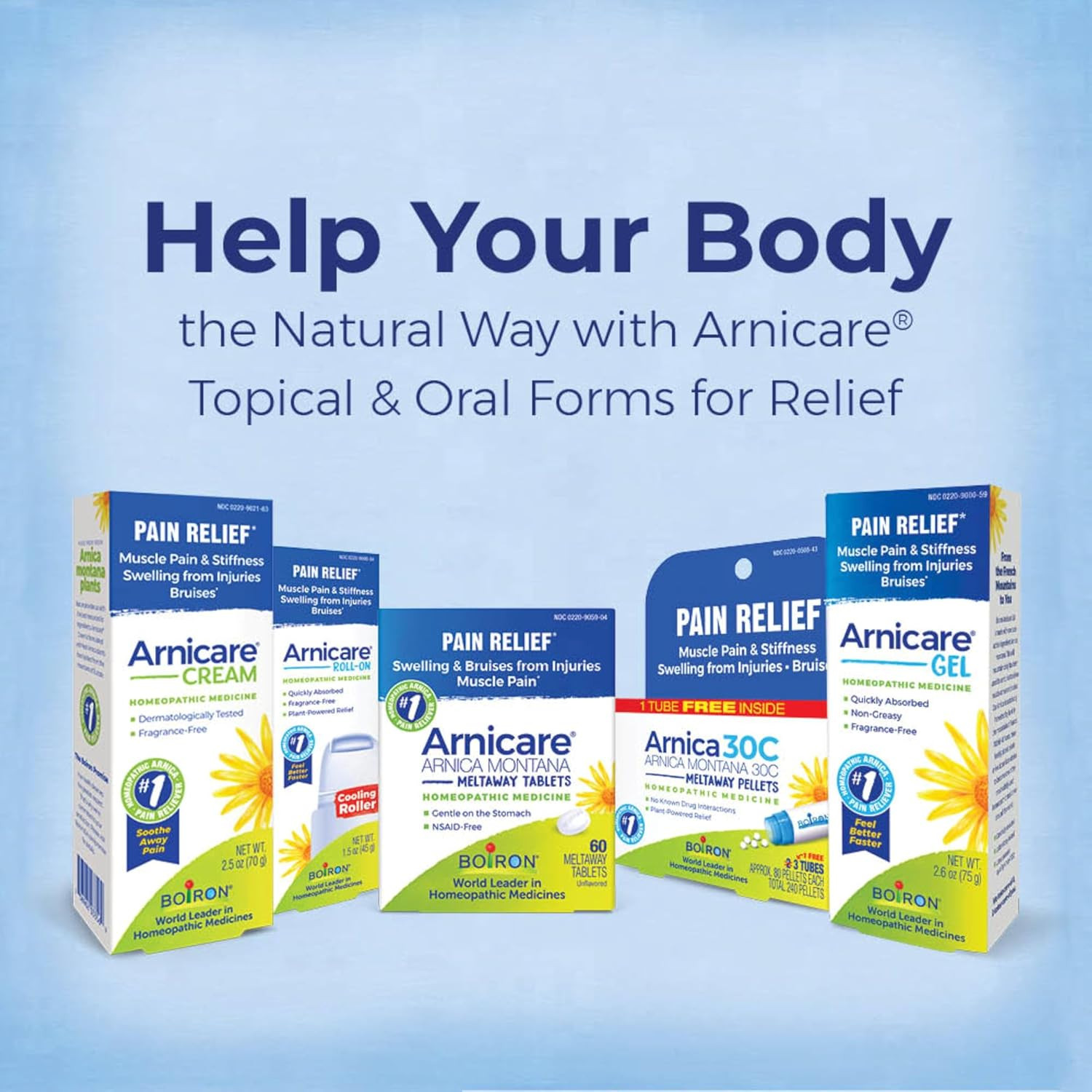 Boiron Arnica Montana 30C Homeopathic Medicine for Relief from Muscle Pain, Musc