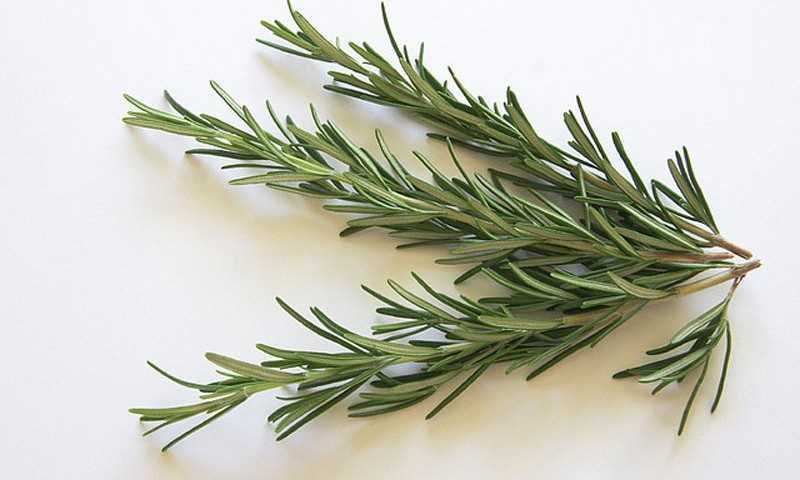 Rosemary Leaf Powder | 3.5oz to 5lb | 100% Pure Natural Hand Crafted