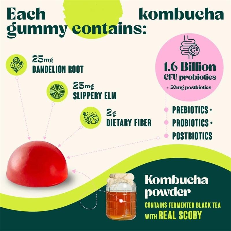 Fiber Supplement, Probiotics, Postbiotics, Probiotic Kombucha Gummy – Prebiotics