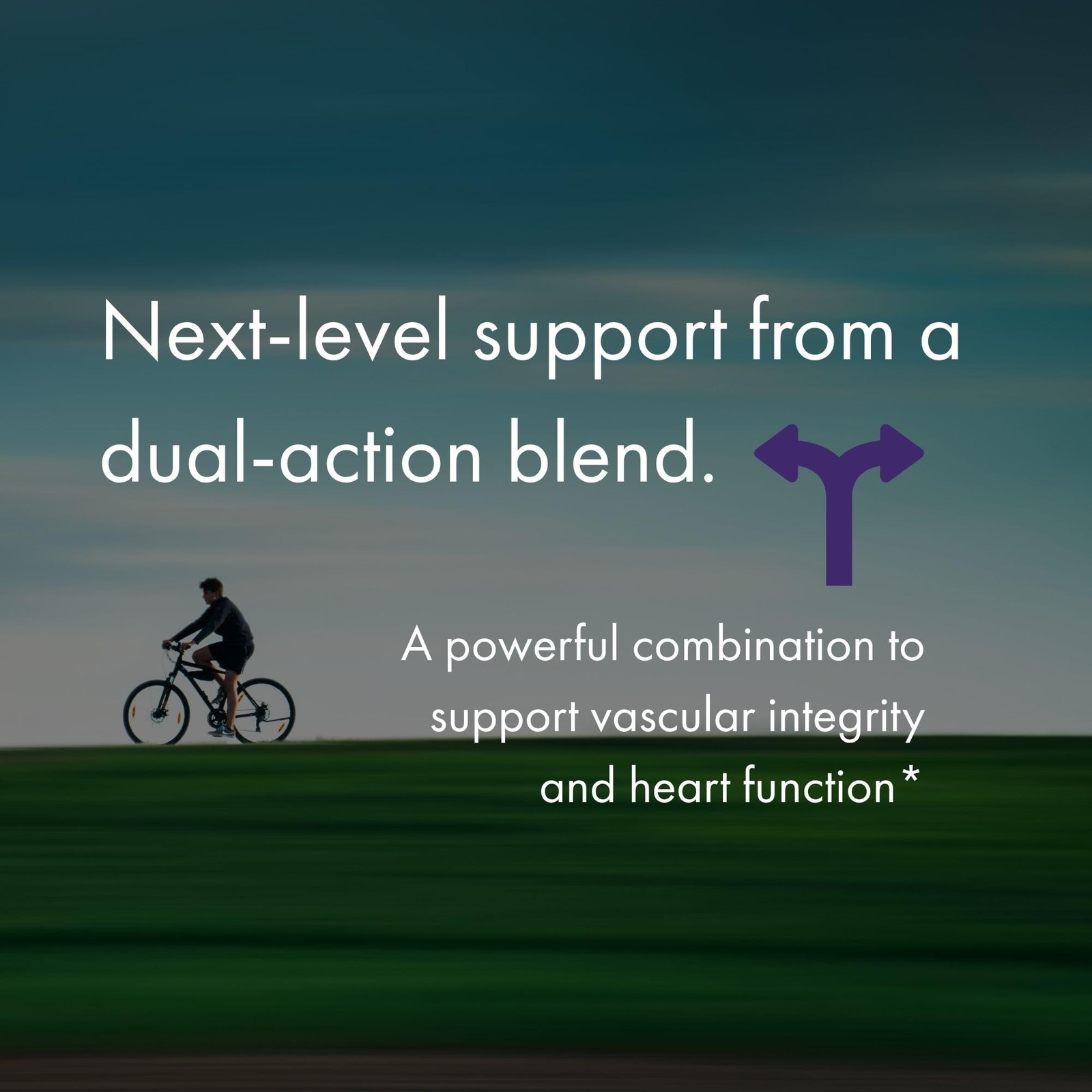NAOMI BP Advanced, Supports Cardiovascular Health, Circulatory Health, Olive …
