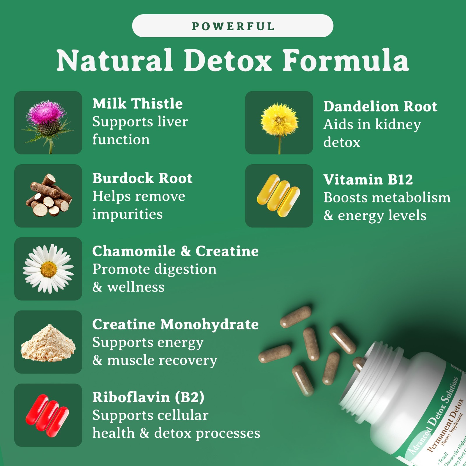 Permanent Detox 24 Capules / Same Day Shipping! / Made in the USA!