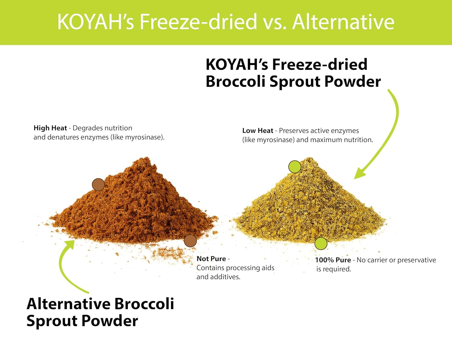KOYAH – Organic USA Broccoli Sprout Powder (1 Scoop = 1/4 Cup Sprouts): 36 Servi