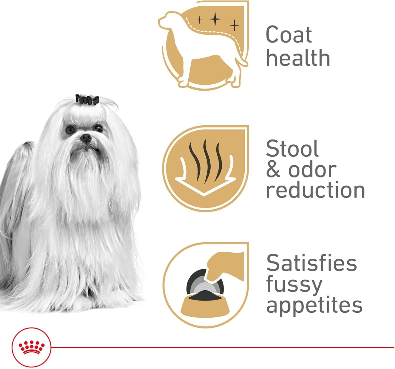 Royal Canin Breed Health Nutrition Maltese Adult Dry Dog Food,10 lb Bag