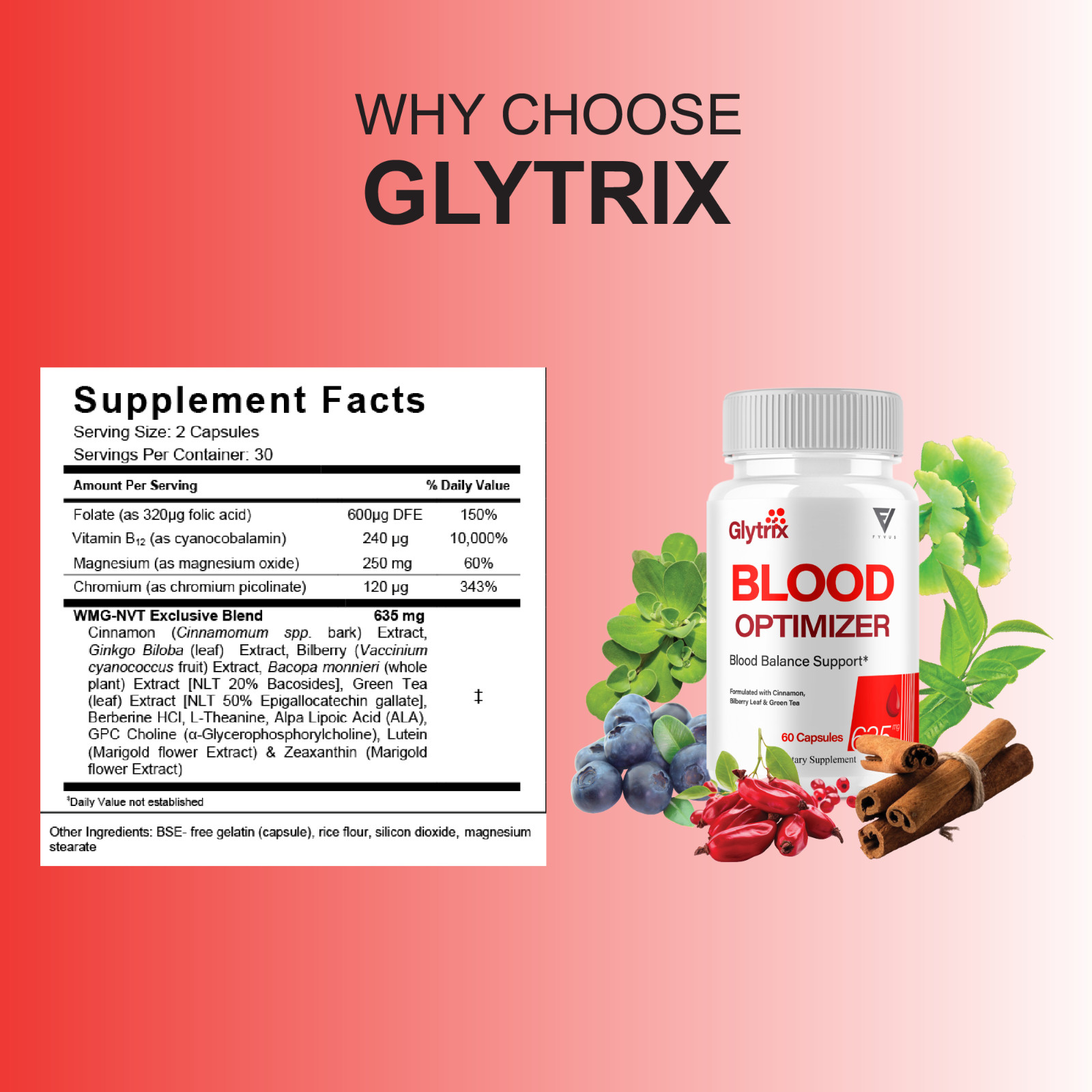 Glytrix Premium Blood Support, Glytrix Advanced Pills (60 Capsules)